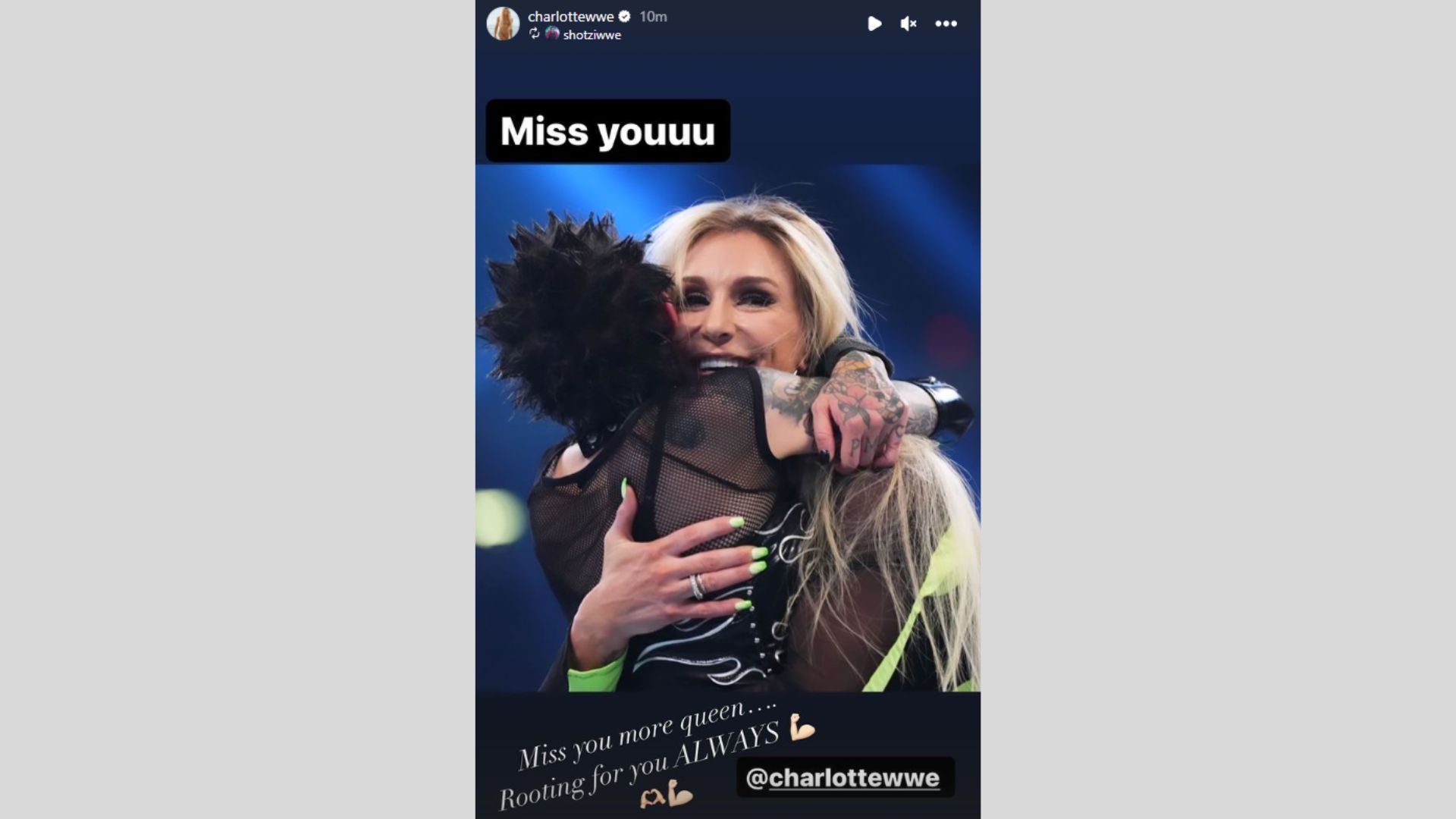 A screengrab of Charlotte Flair&#039;s Instagram story.