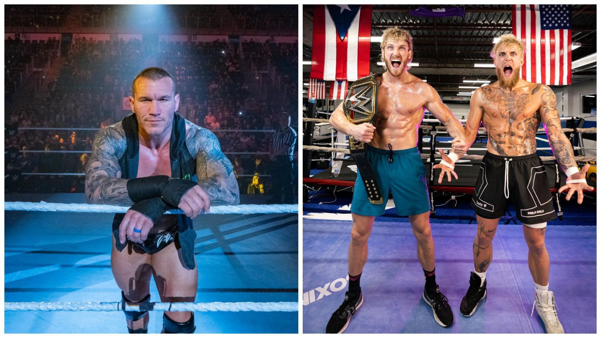 Randy Orton (left); Jake and Logan Paul (right).