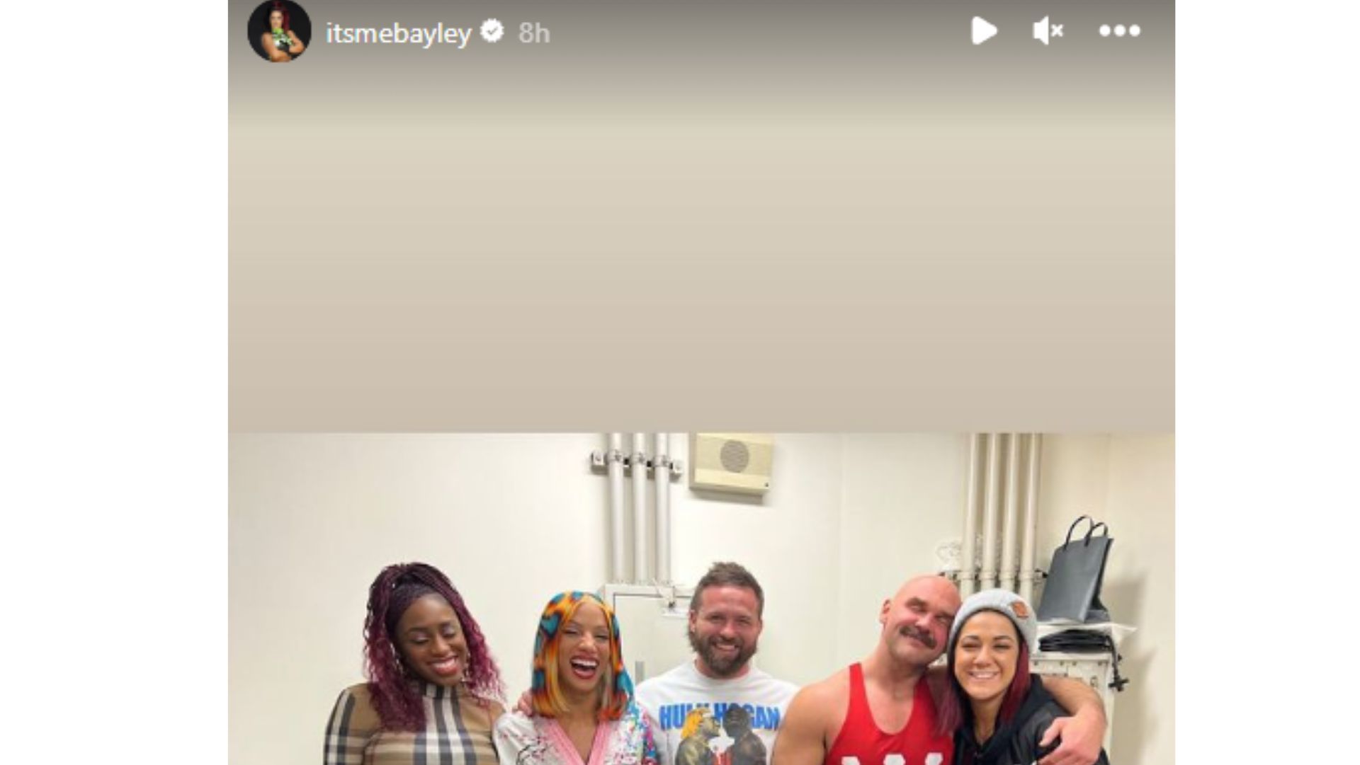 Bayley posted about Sasha Banks on her Instagram story