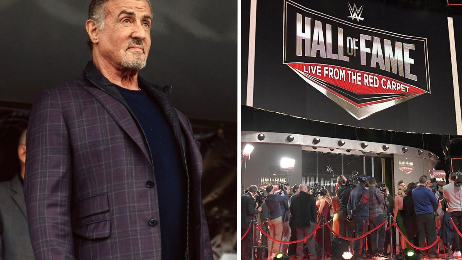 Sylvester Stallone also made a name for himself in WWE