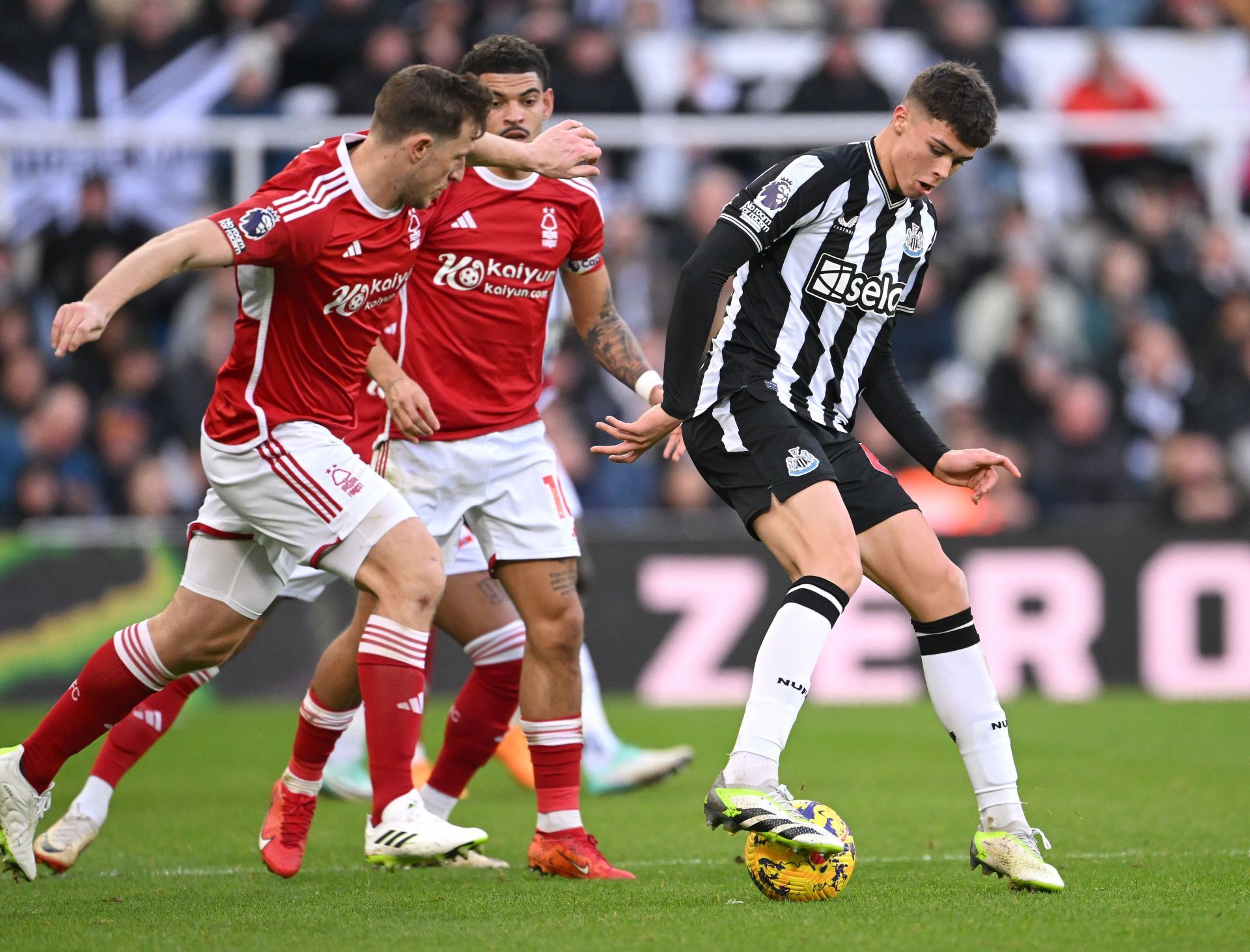 Newcastle United v Nottingham Forest - Premier League