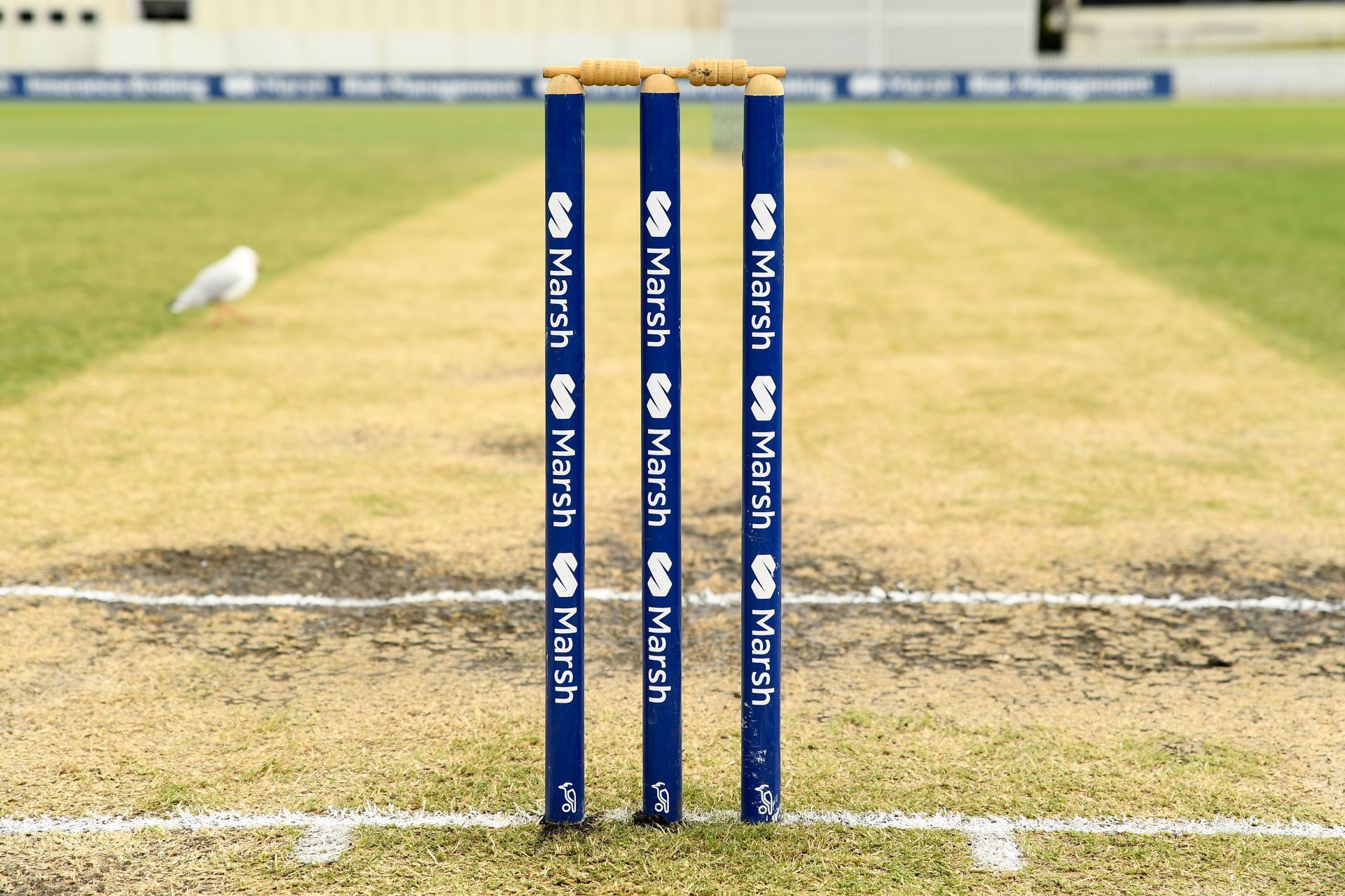 Sheffield Shield - VIC v SA: Day 4