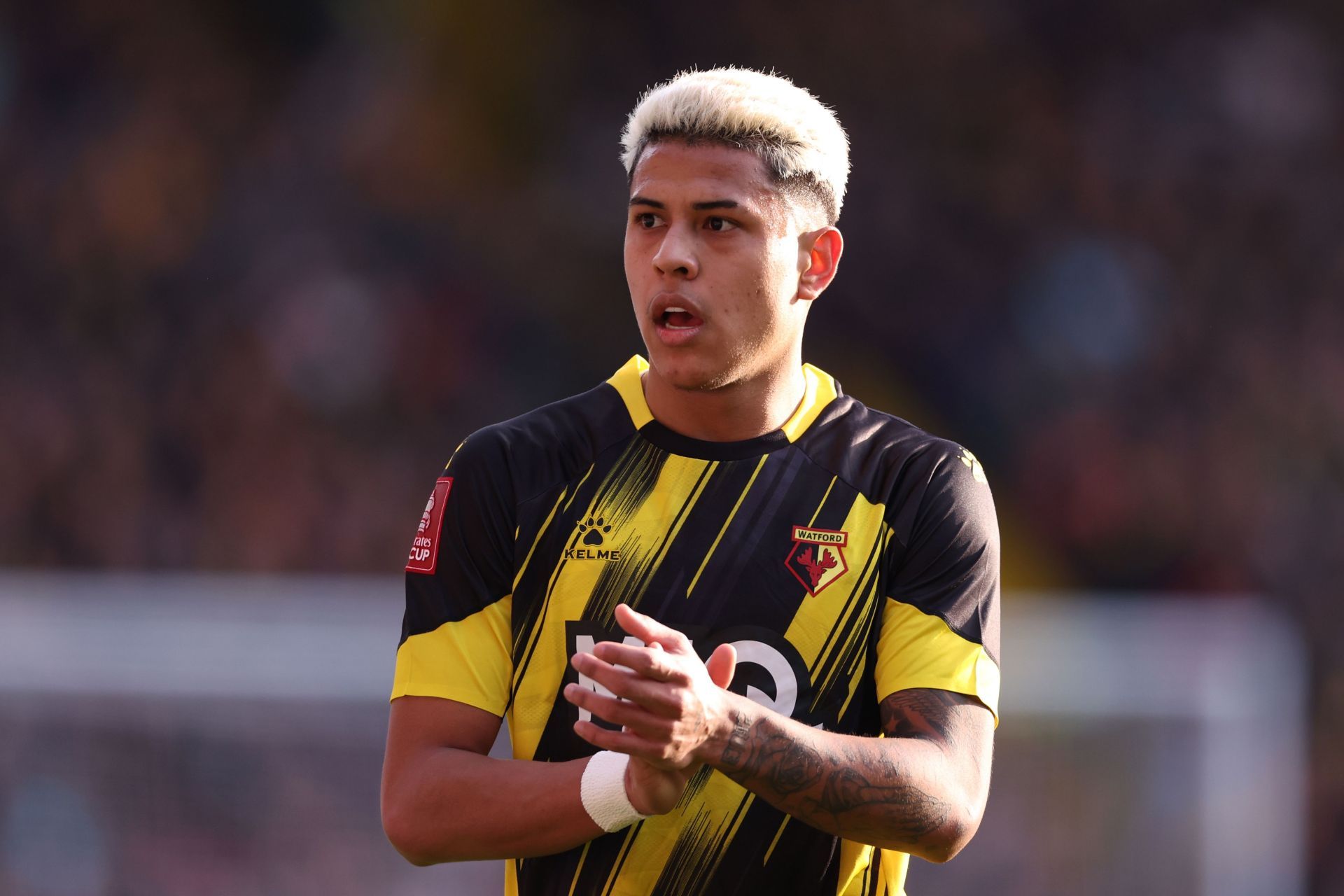 Watford v Southampton - Emirates FA Cup Fourth Round