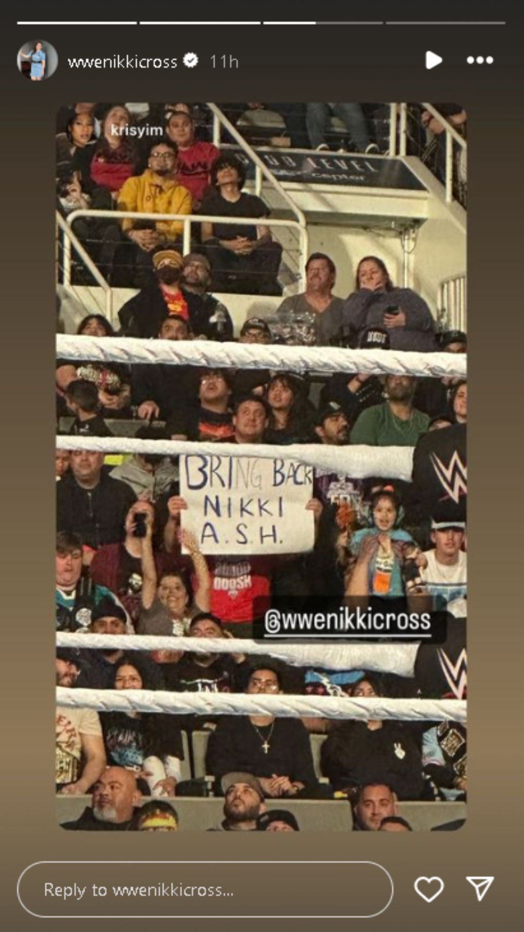 A screengrab of Nikki Cross&#039; Instagram Story.