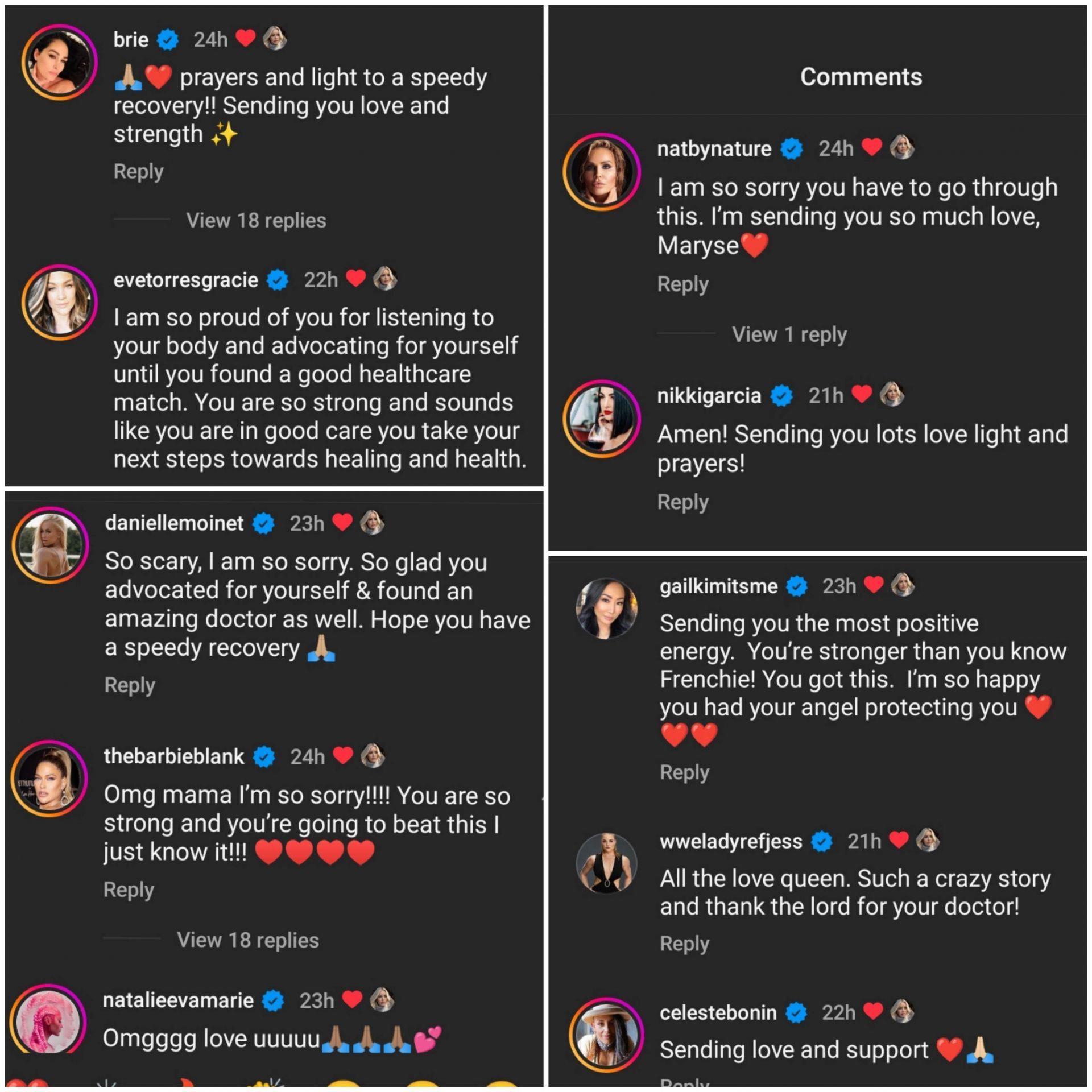 Maryse received comments from former and current WWE stars [Image source: Screenshot of the comments section of Maryse's post]