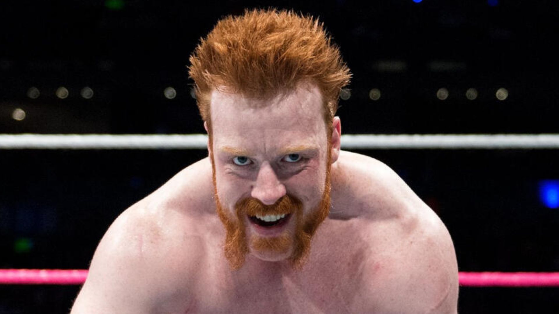 Sheamus (Photo Courtesy: WWE.com)