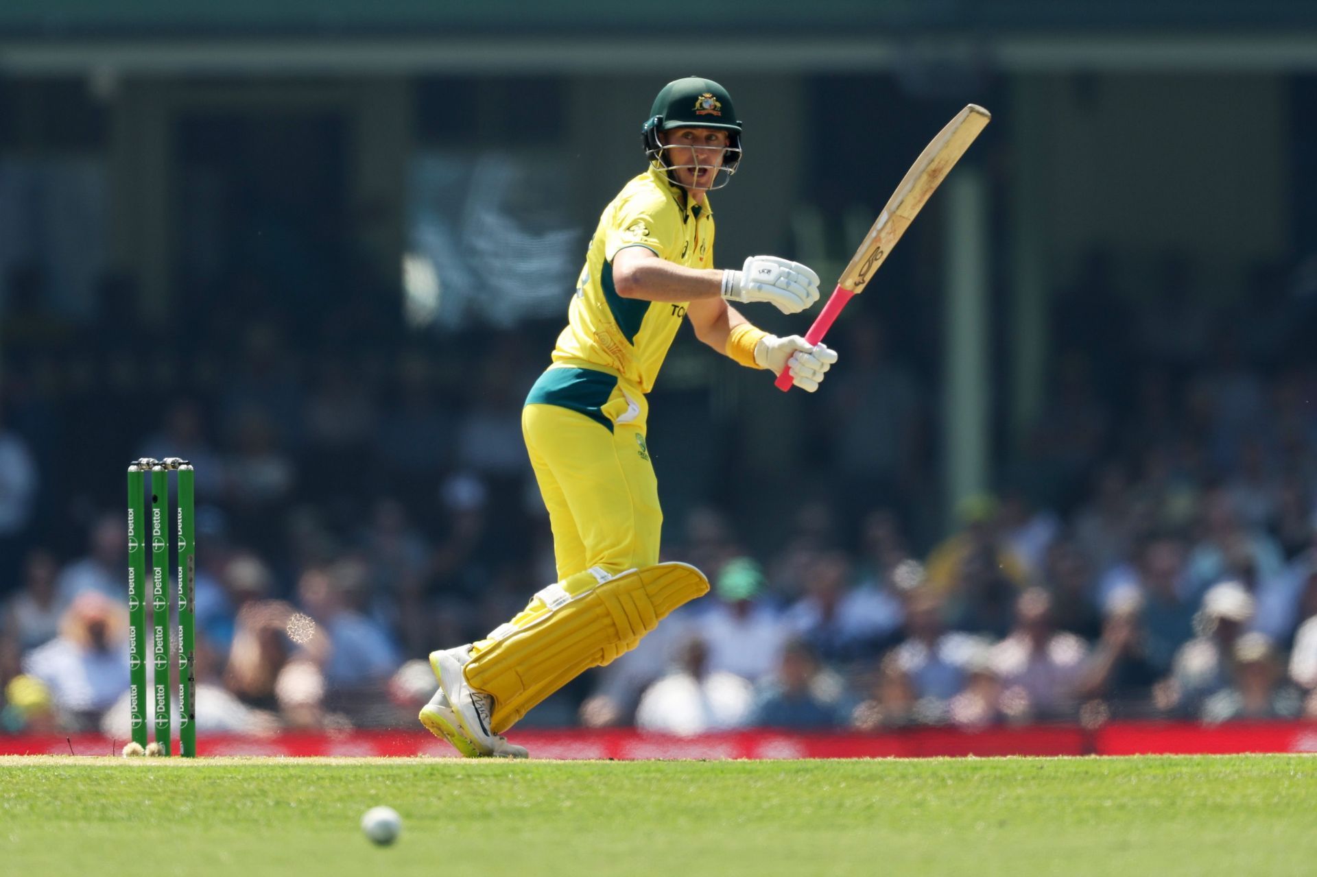 Australia v West Indies - Men