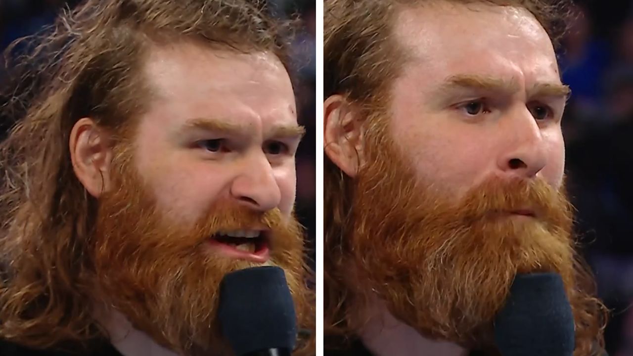 Sami Zayn (via WWE