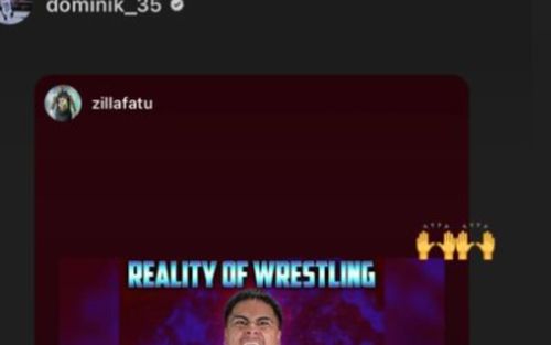 'Dirty' Dom put a post about Zilla Fatu's return on his Instagram story