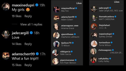 Screengrab of reactions on Natalya's Instagram post.