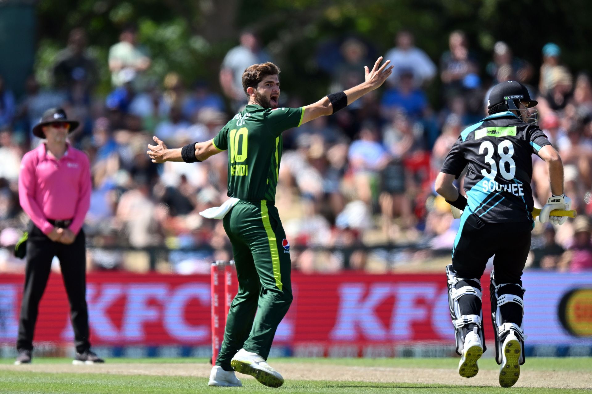 New Zealand v Pakistan - Men