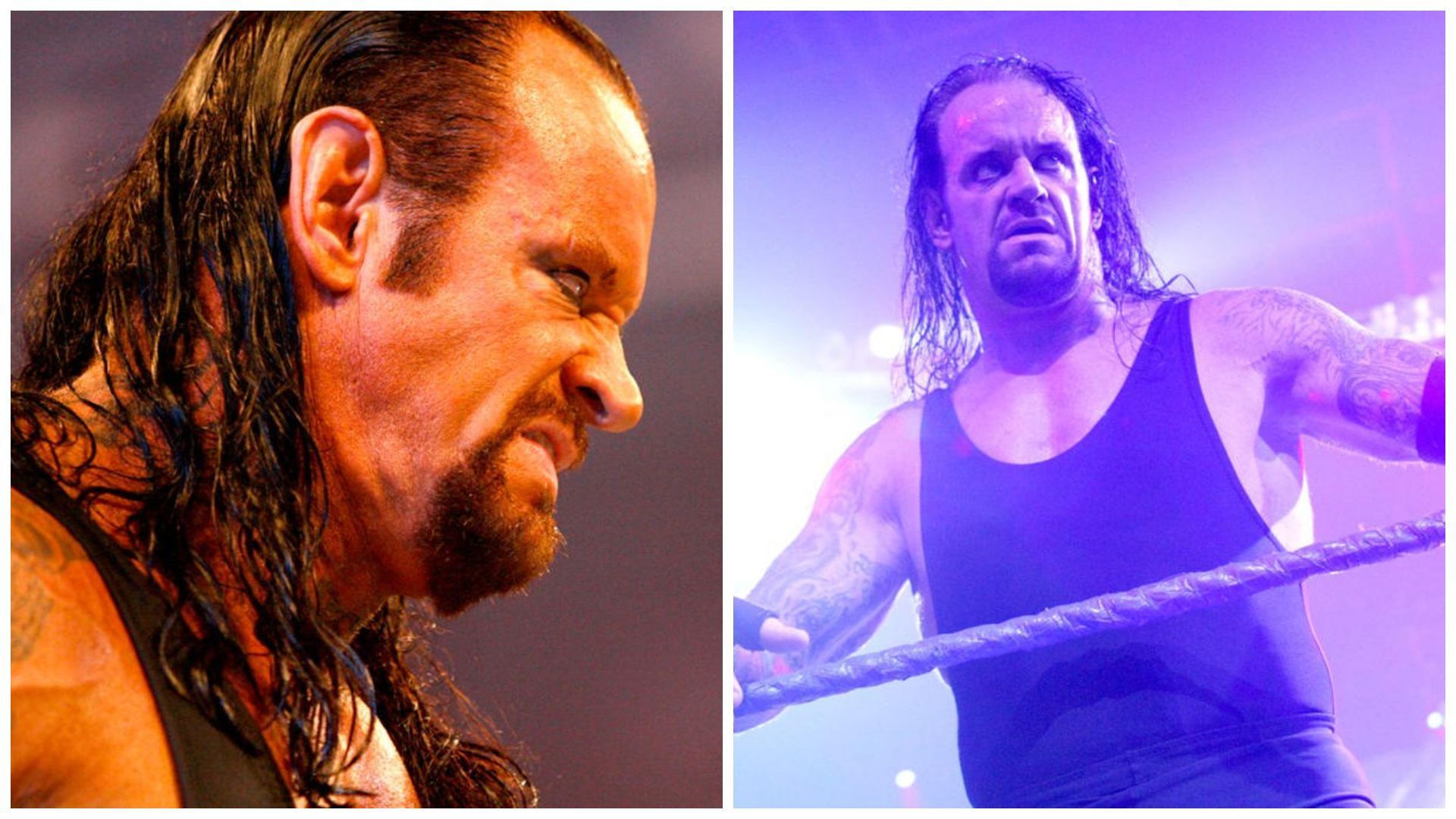 The Undertaker is a WWE Hall of Famer.