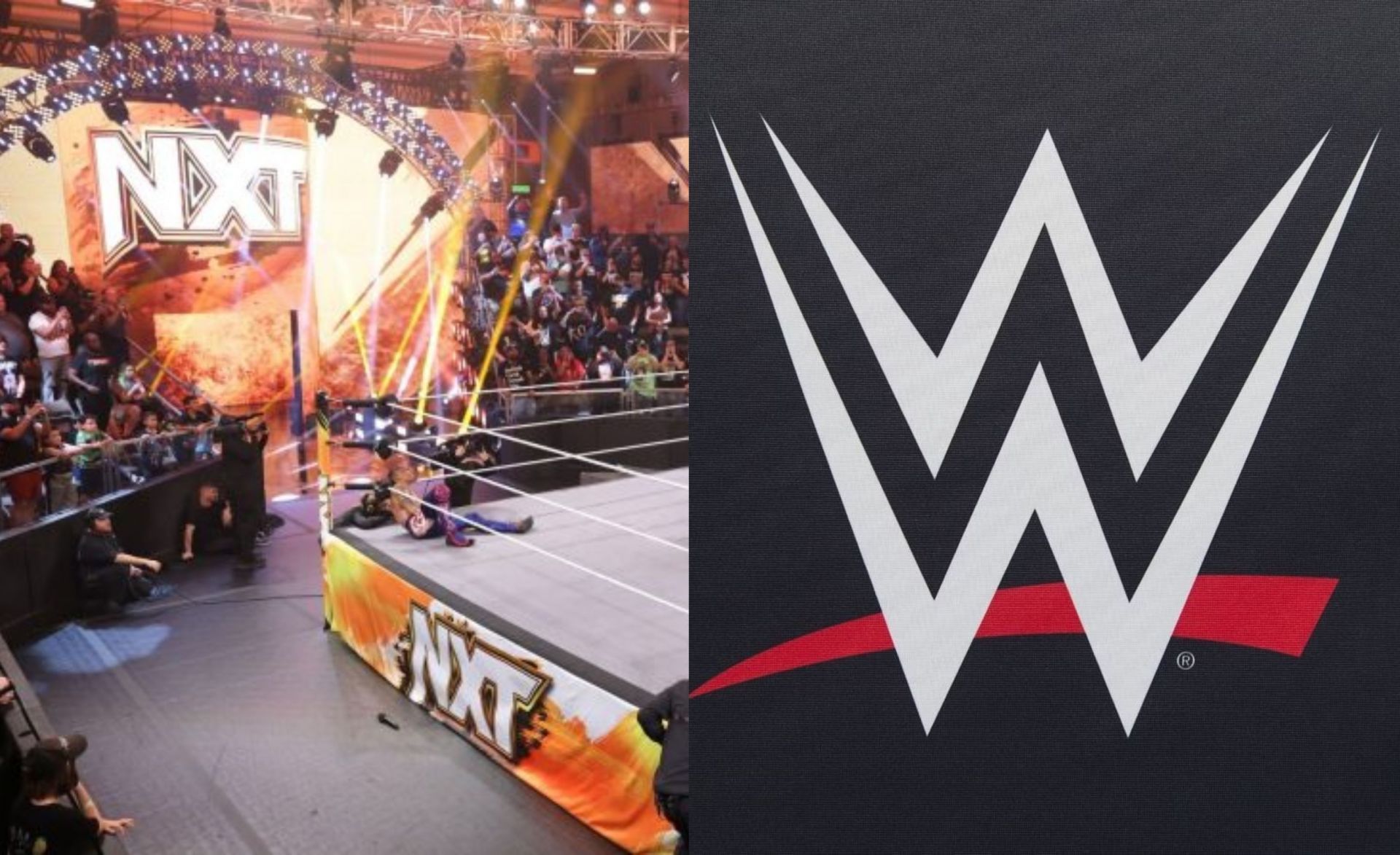 WWE से एक और स्टार अलग हो गया है