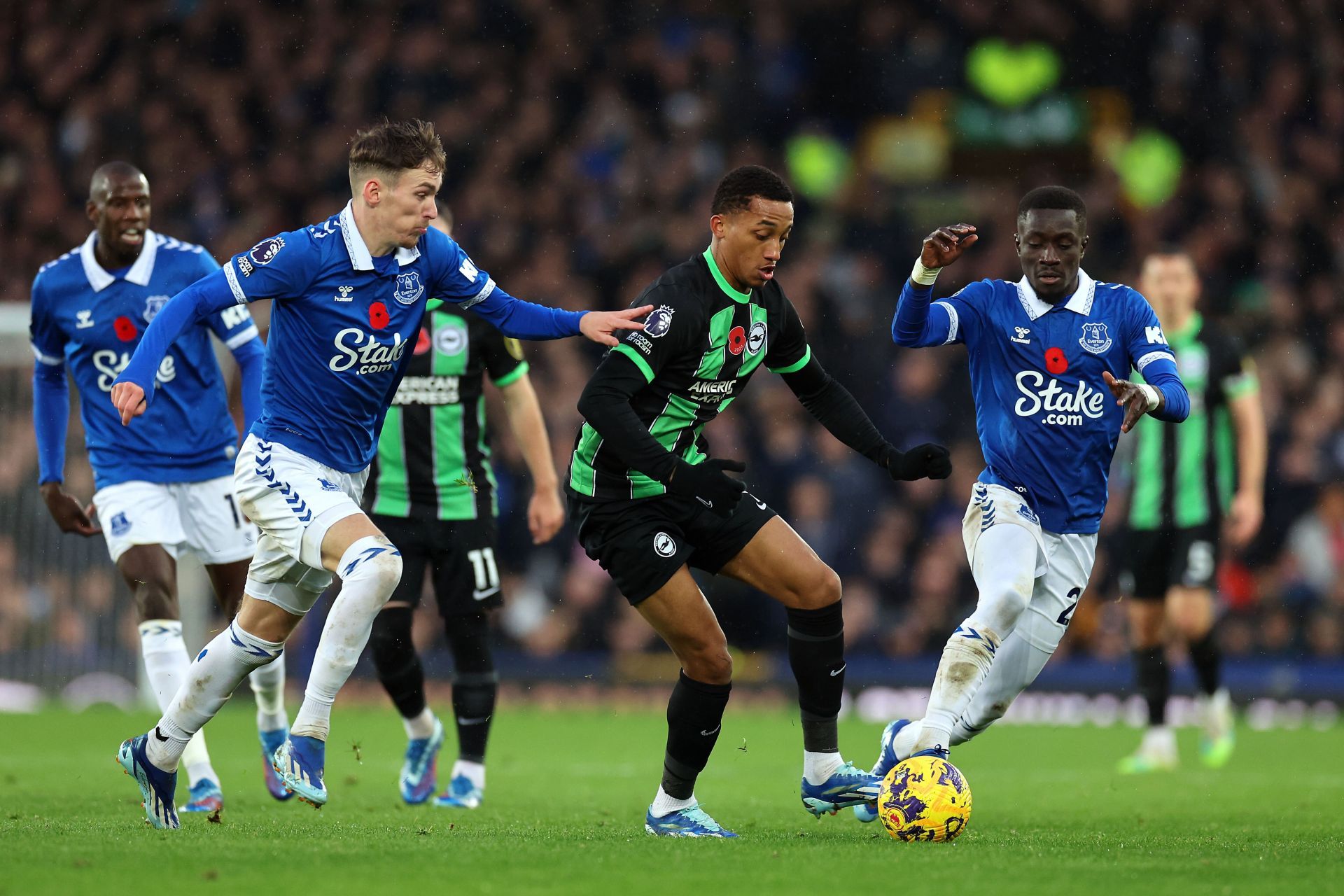 Everton take on Brighton &amp; Hove Albion this week