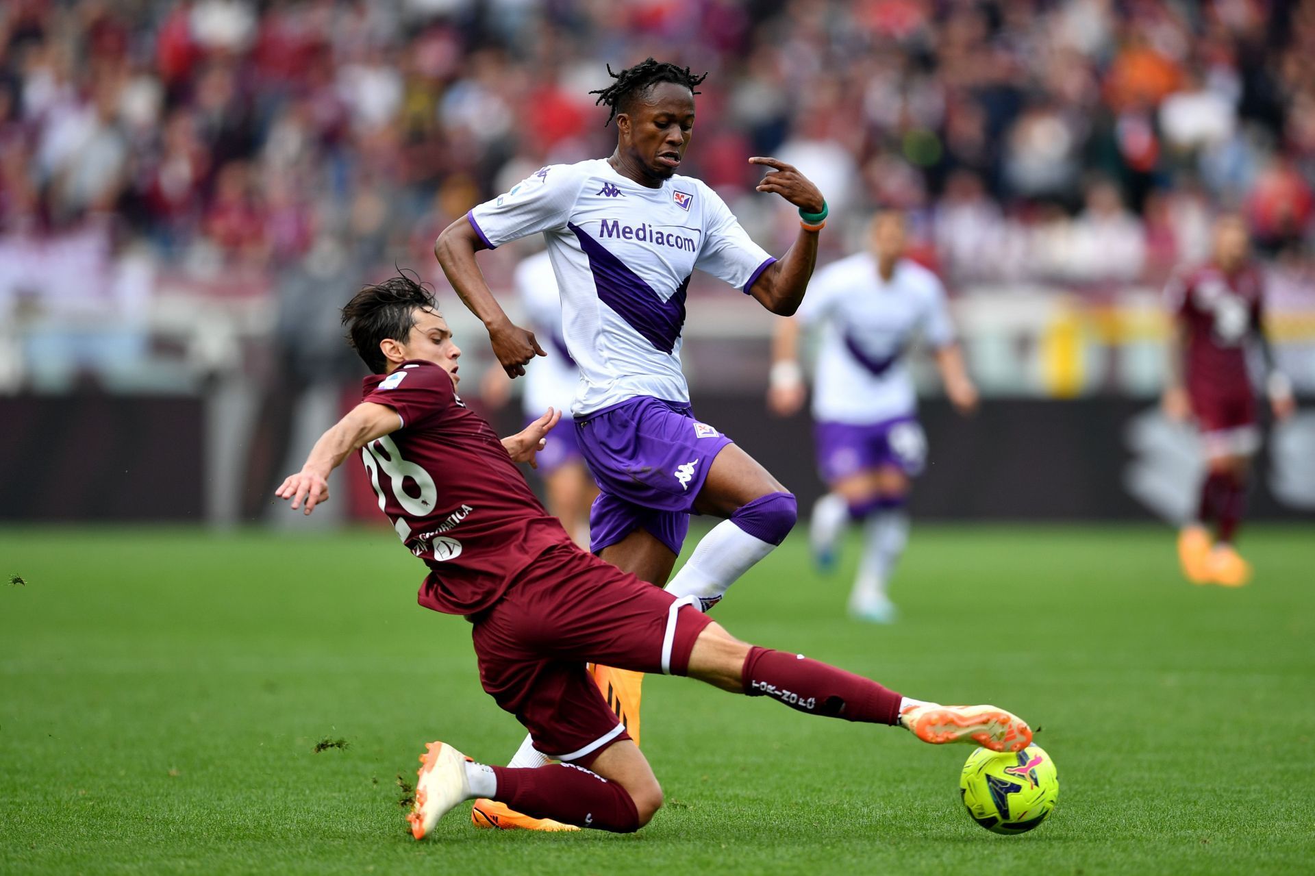 Torino FC v ACF Fiorentina - Serie A