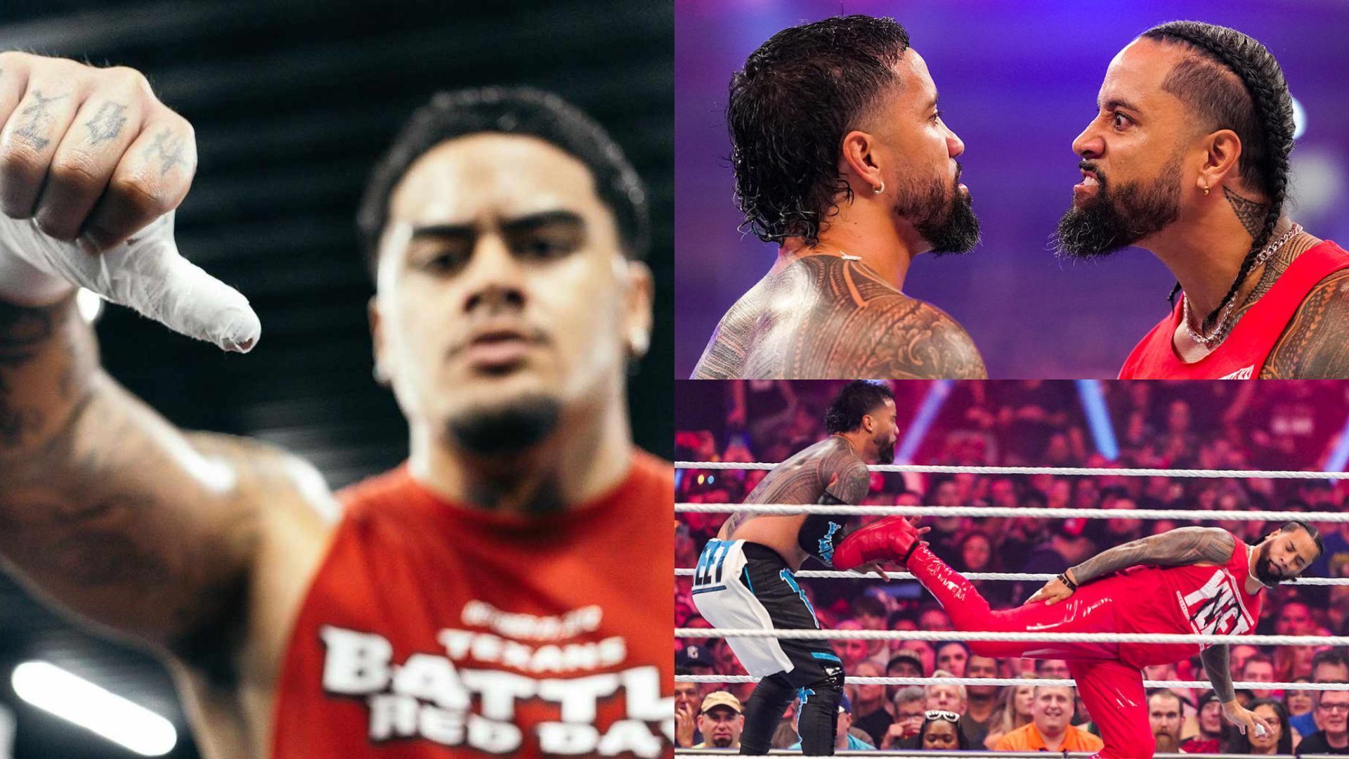 Zilla Fatu is an up-and-coming member of the Anoa