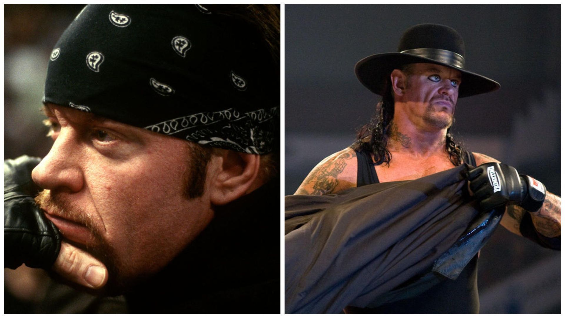 The Undertaker is a former WWE World Champion.