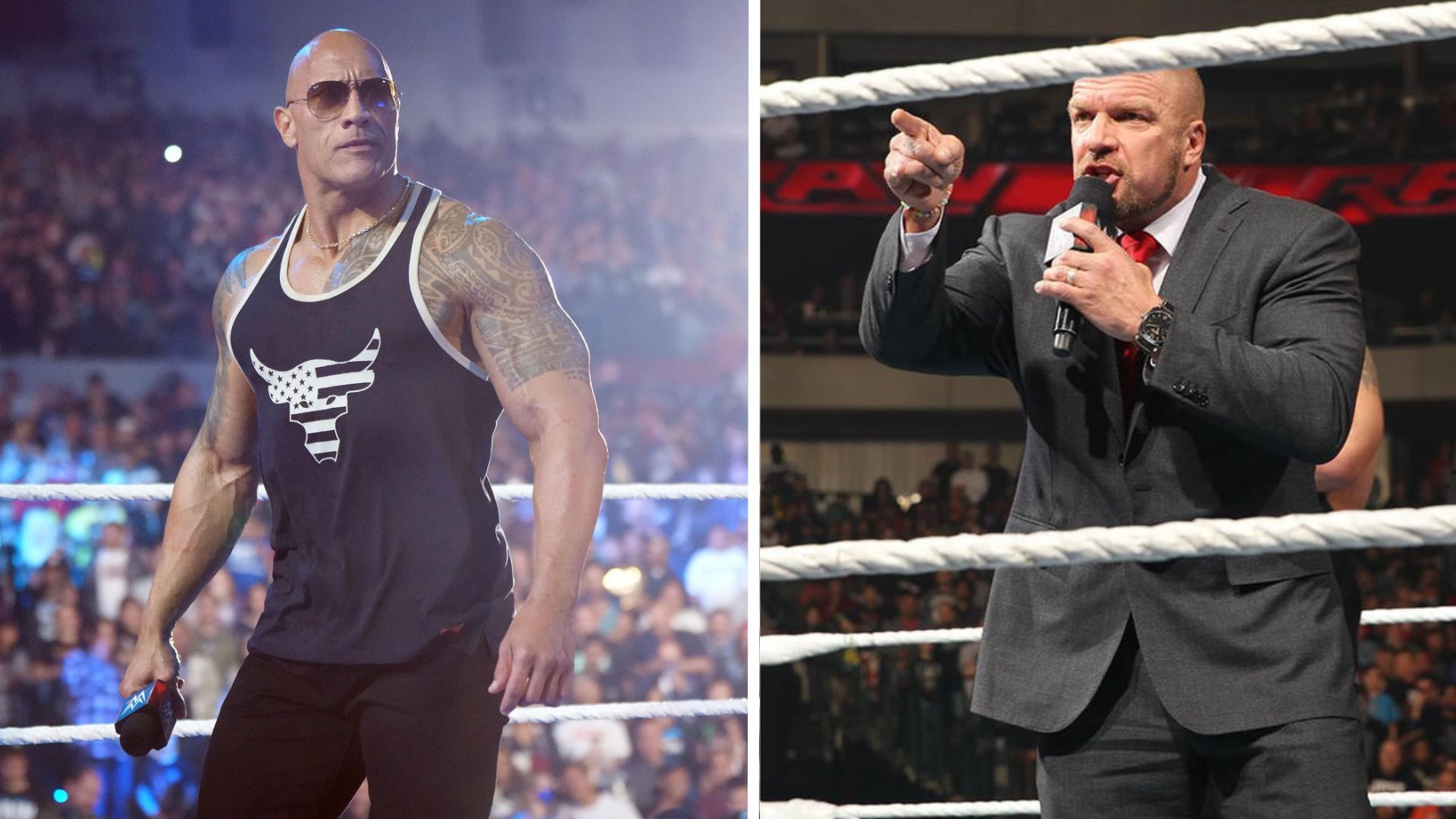 Triple H and The Rock met in a WWE ring several times 