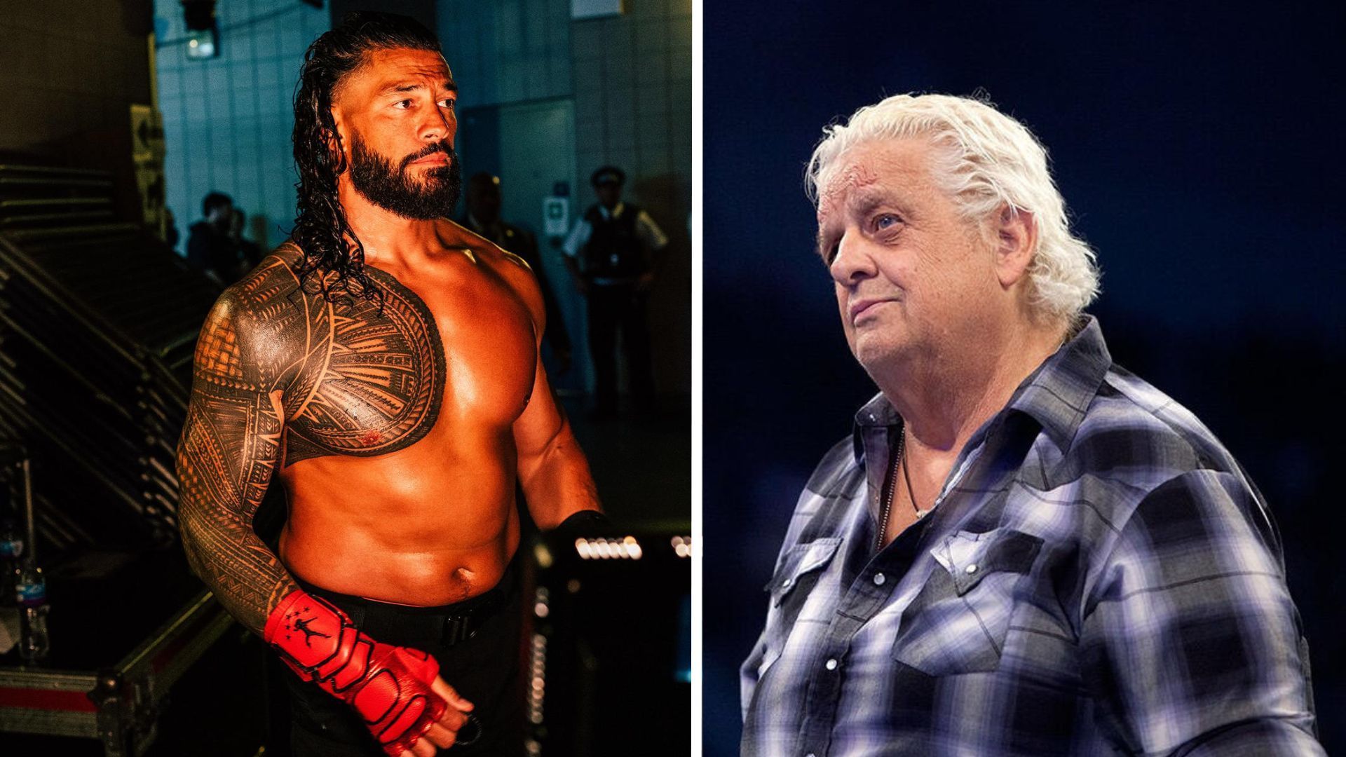 Roman Reigns was mentored by Dusty Rhodes