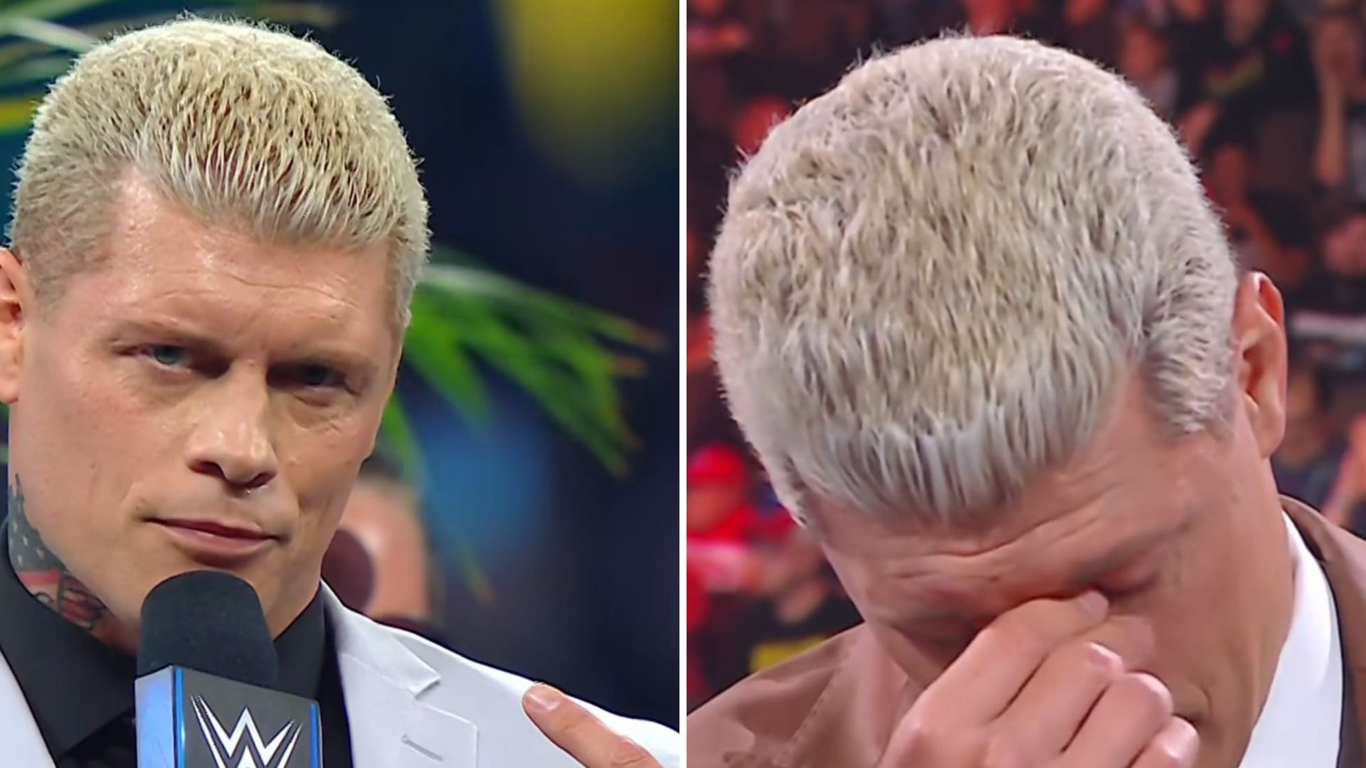 Cody Rhodes is the most popular babyface in WWE today.