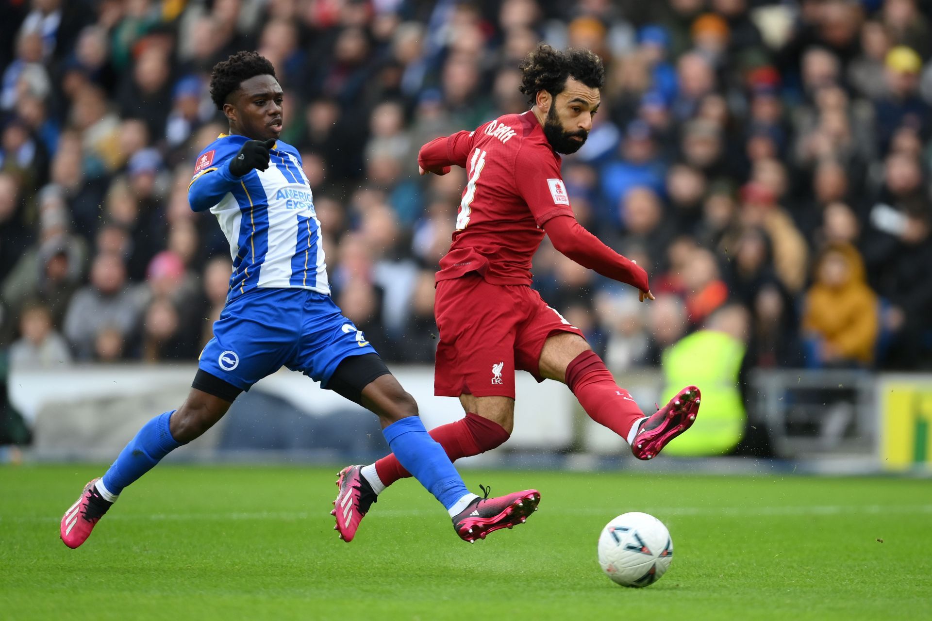 Liverpool take on Brighton this weekend