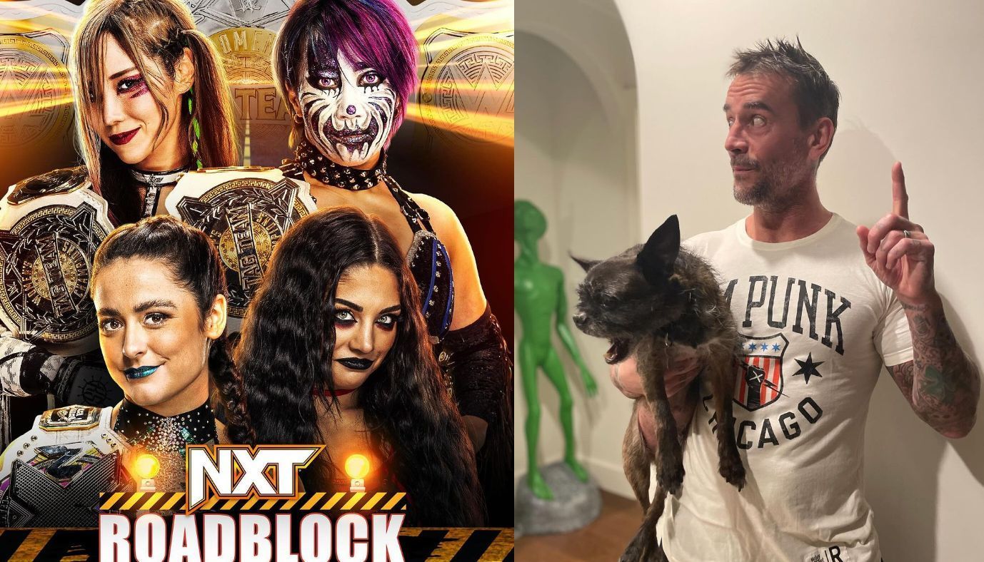 NXT Roadblock(left) and CM Punk(right)