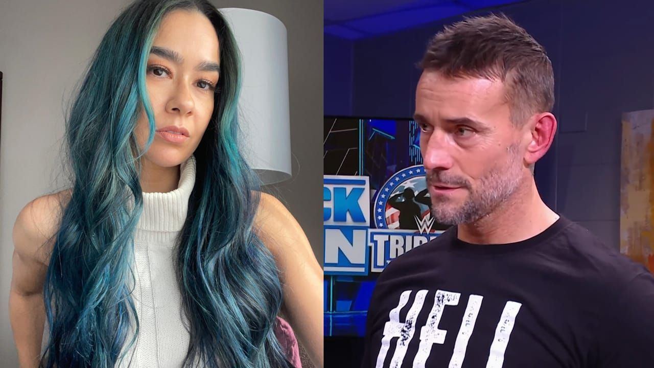 AJ Lee and CM Punk (via Lee