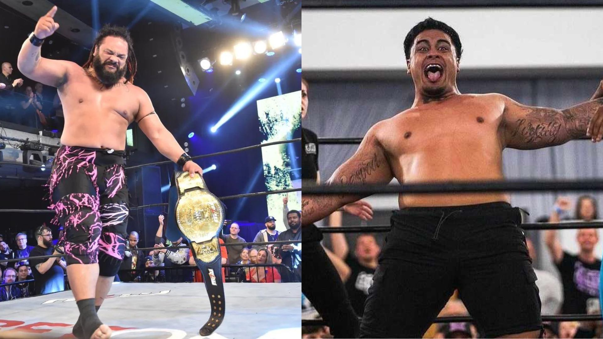 Jacob Fatu and Zilla Fatu are a tag team in GCW [Photo Credits: MLW and Zilla Fatu on Instagram[