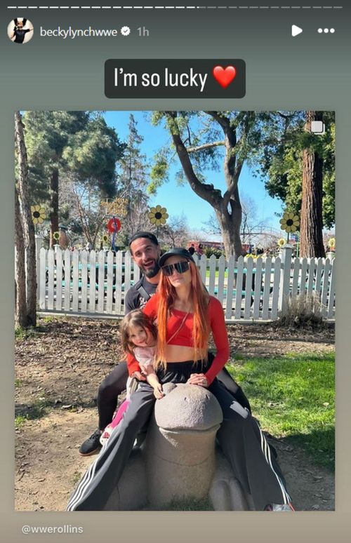 Screenshot of Becky Lynch's post to Instagram Stories