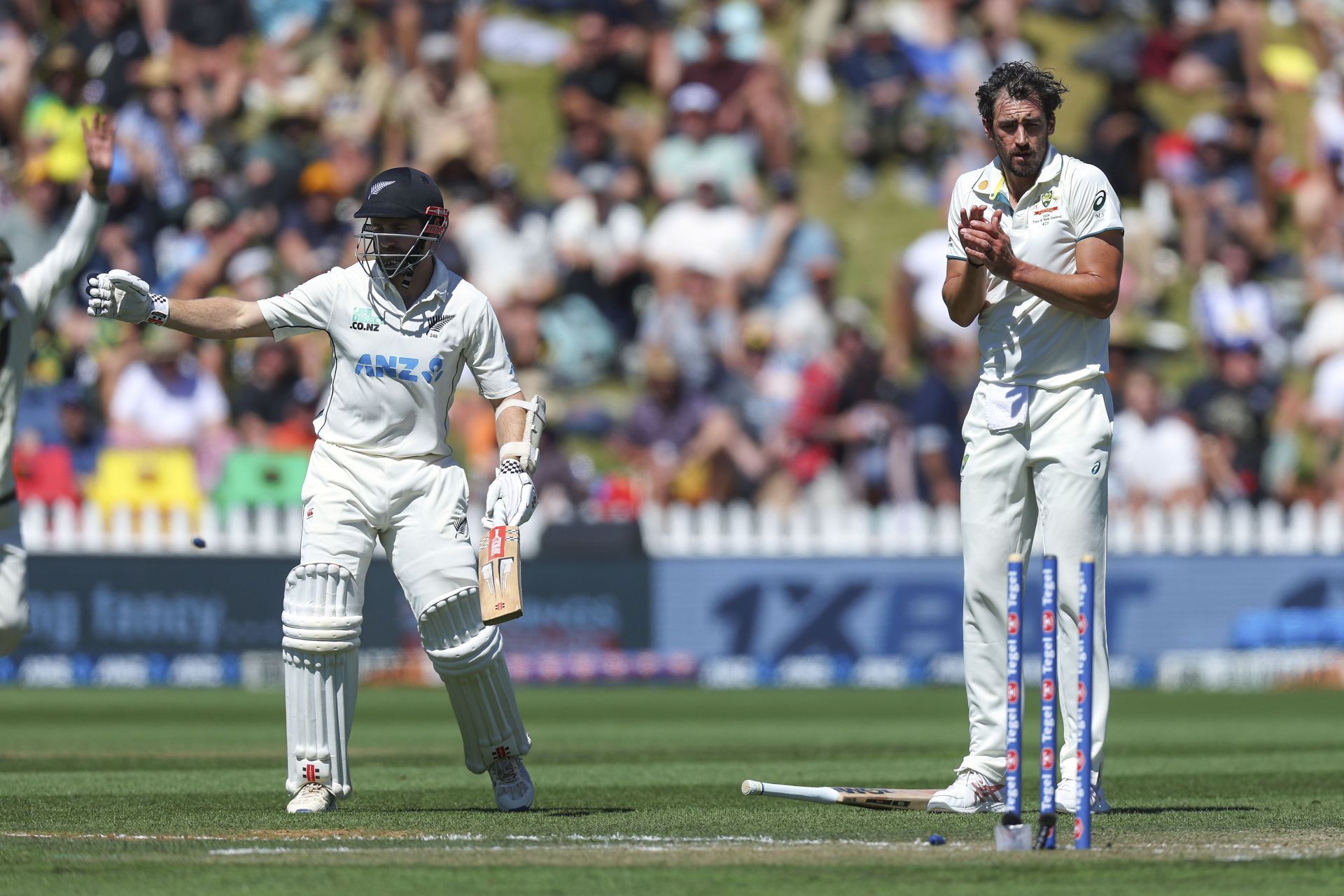 New Zealand v Australia - Men