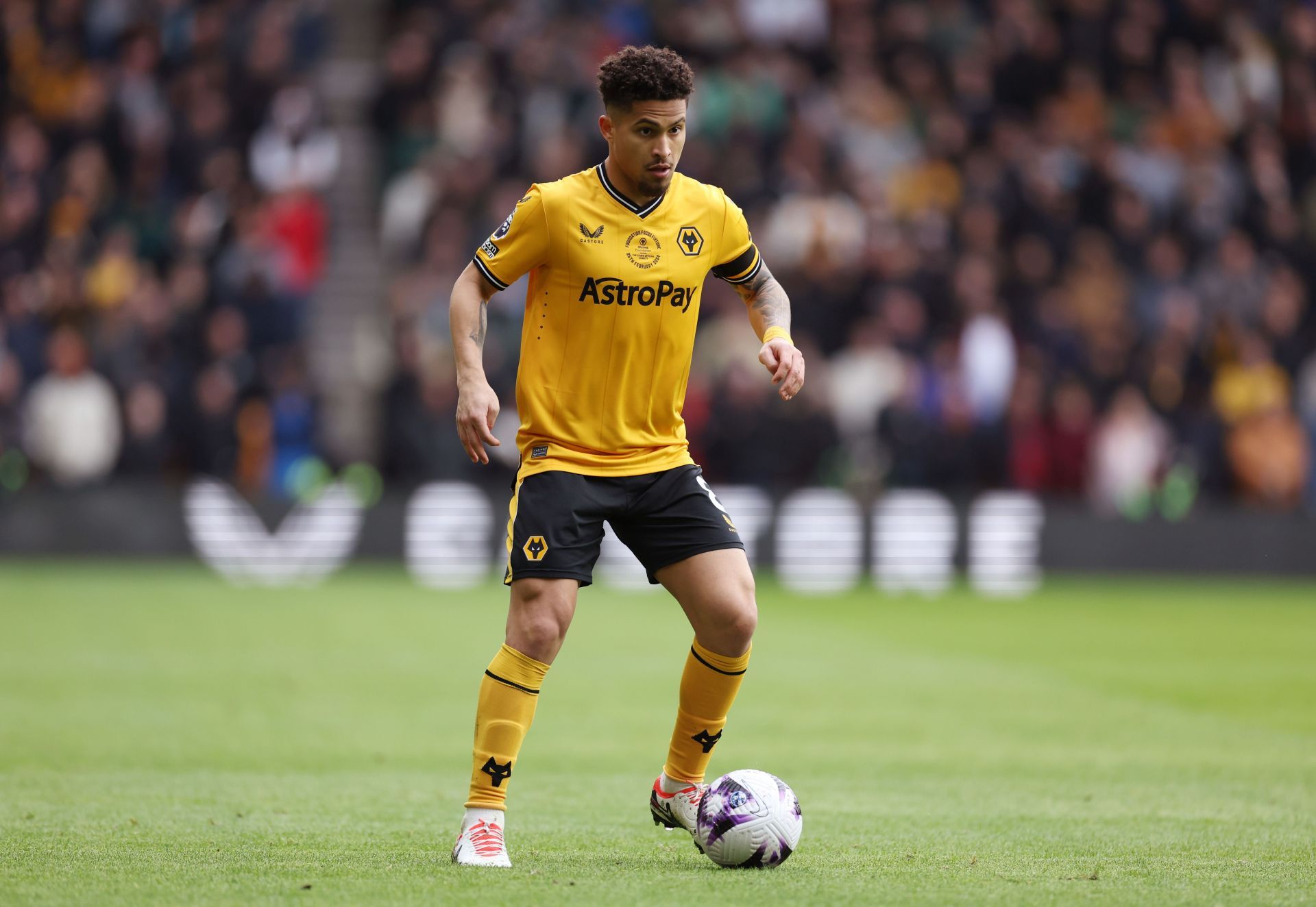 Joao Gomes has been a hit at the Molineux.