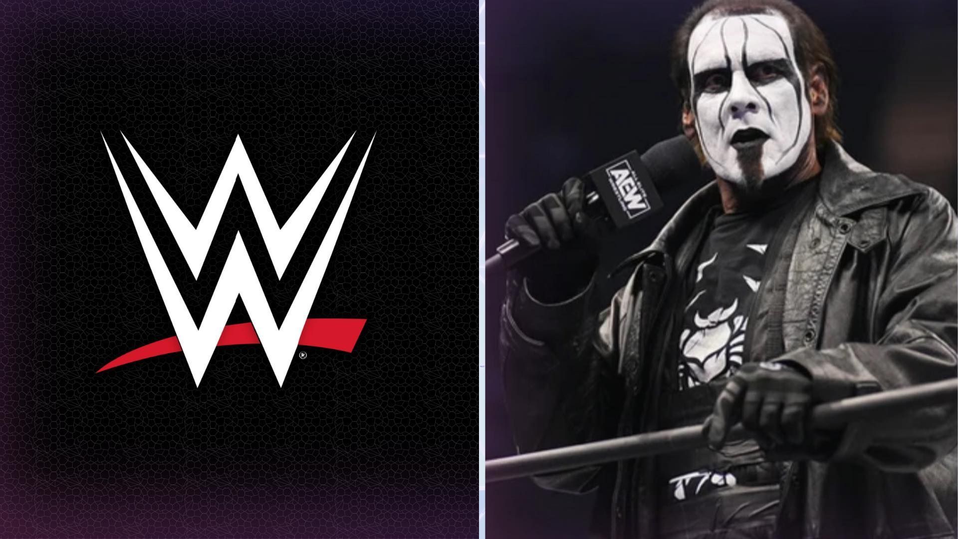 WWE Hall of Famer Sting in picture