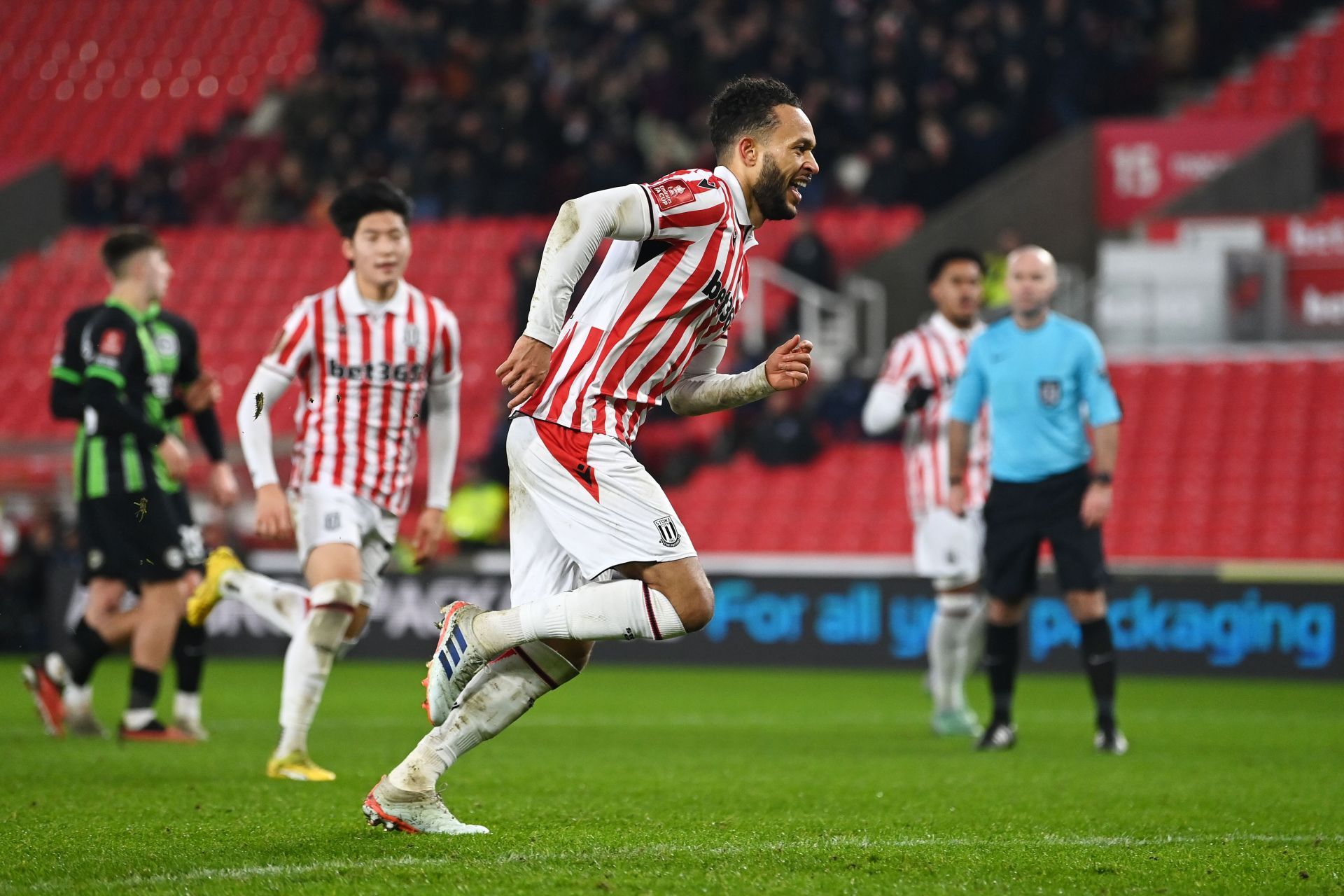 Stoke City v Brighton and Hove Albion - Emirates FA Cup Third Round