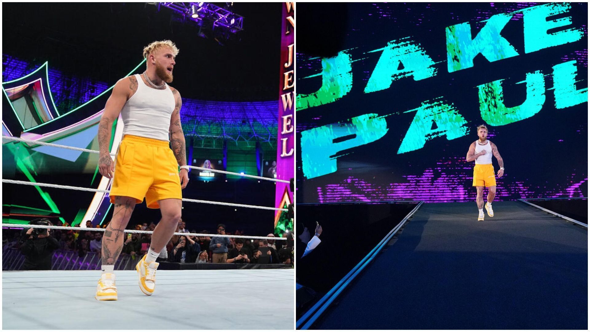 Jake Paul had one appearance in WWE.