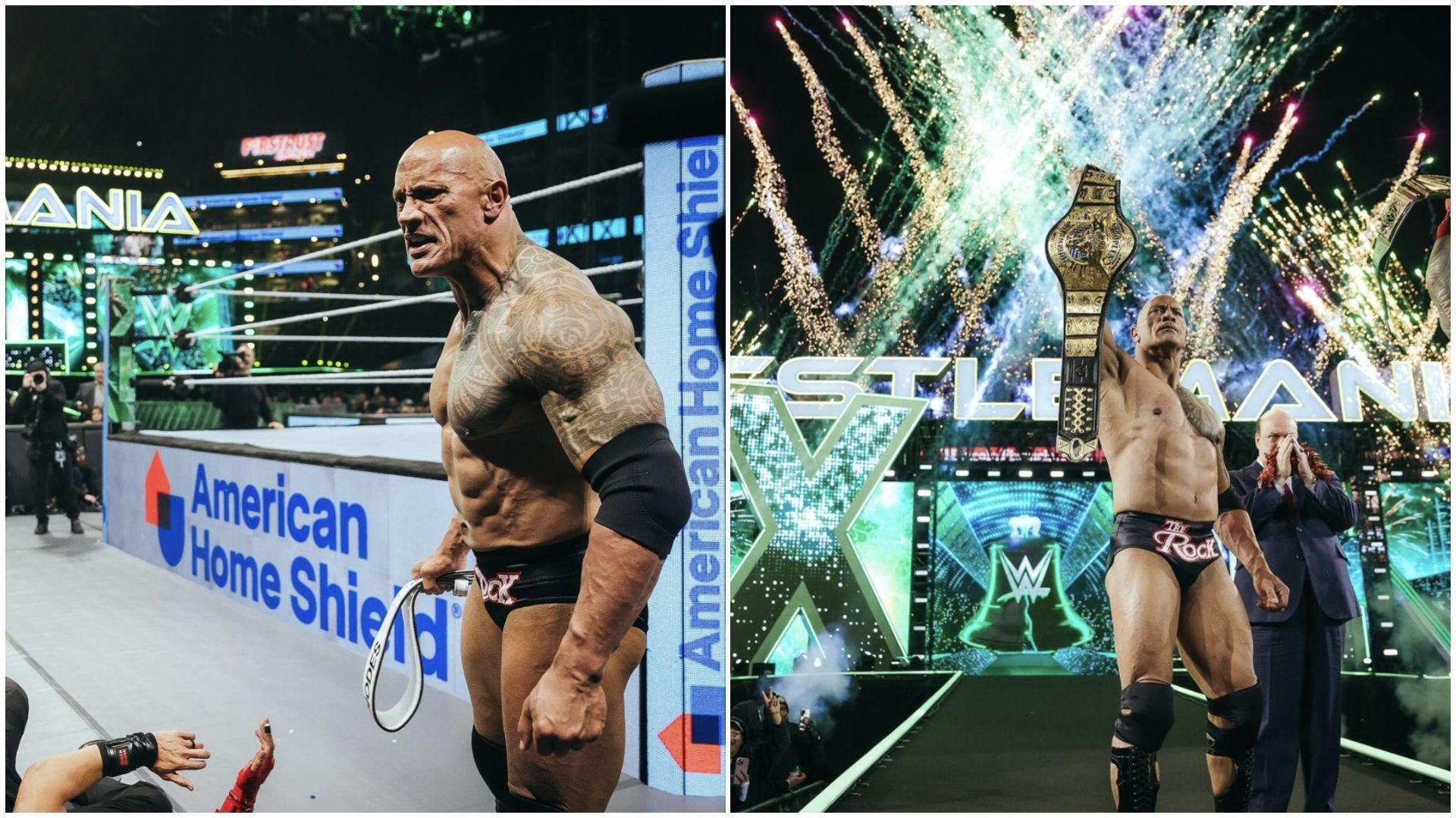 The Rock is a former WWE World Champion.