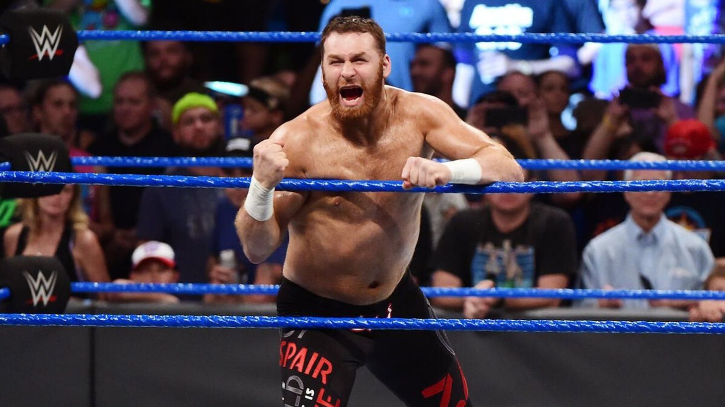 Sami Zayn's WWE Contract Breakdown, Salary Cap Details, Bonuses, Terms