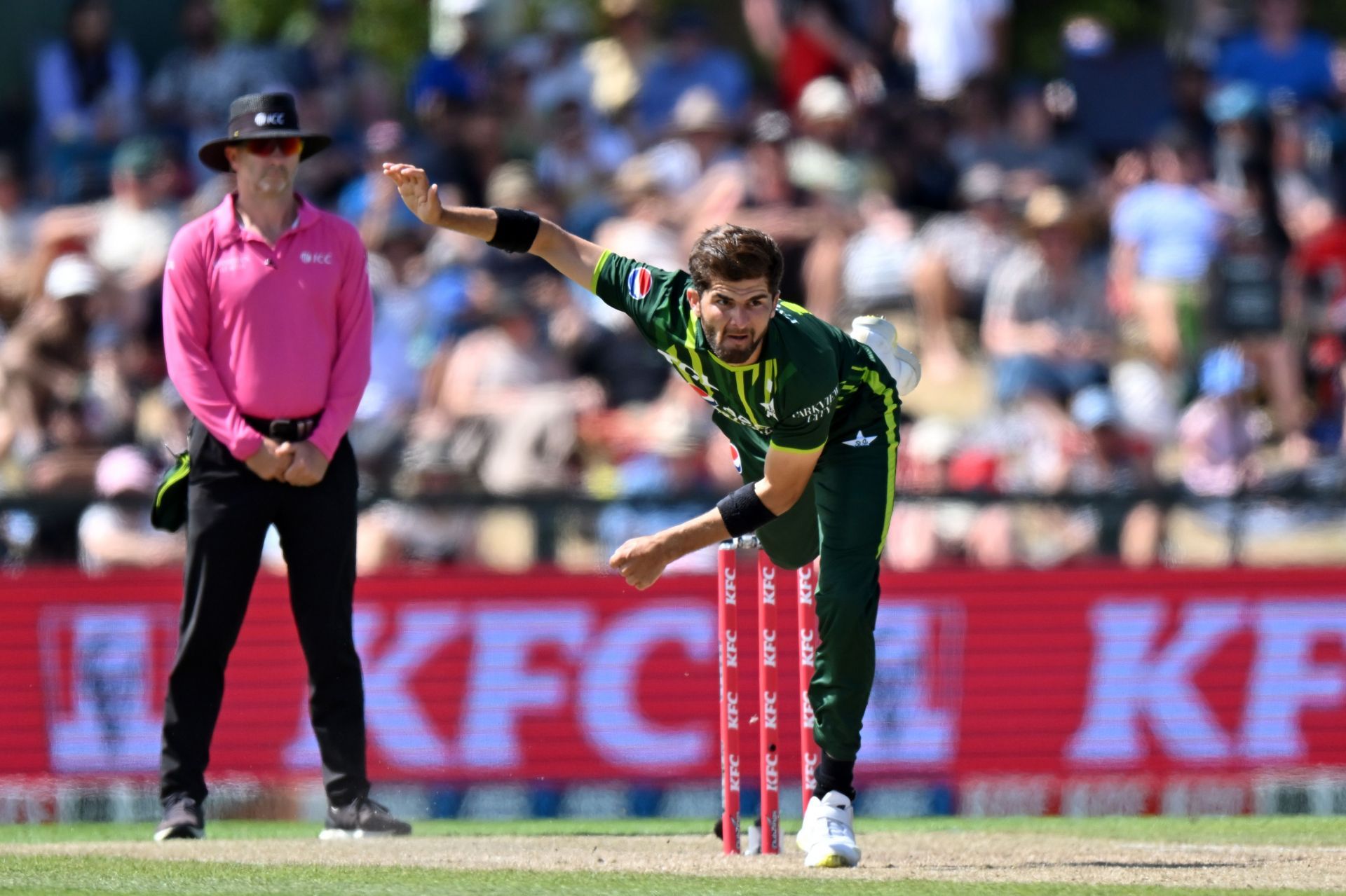 Shaheen Afridi could only lead Pakistan in a five-match T20I series against New Zealand.