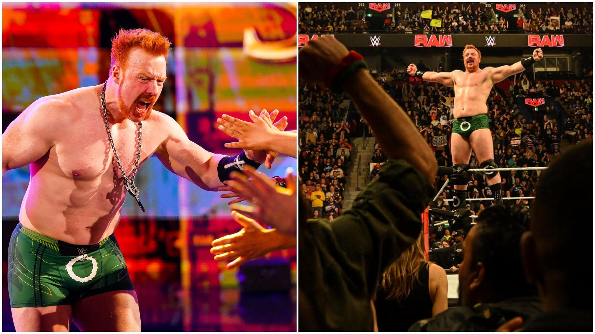 Sheamus is a former WWE Champion.