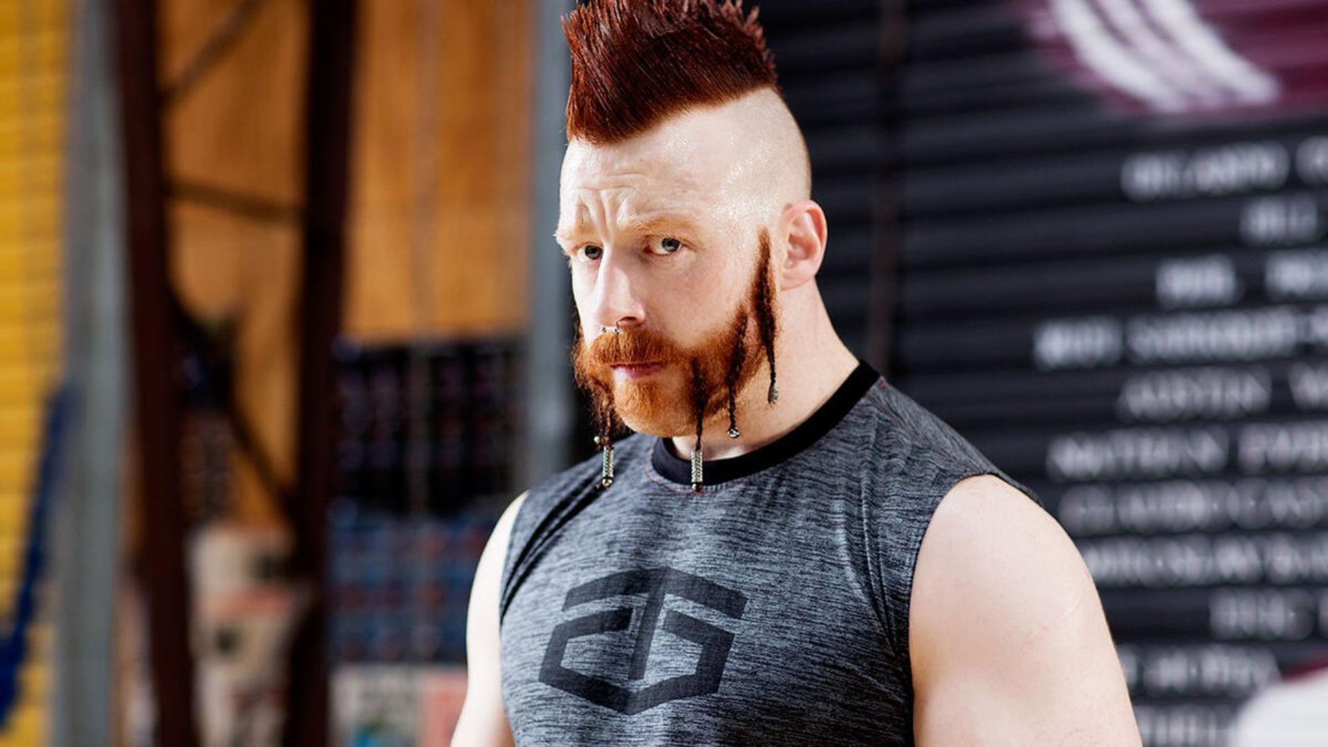 Sheamus returned to WWE last week (Credit: WWE)