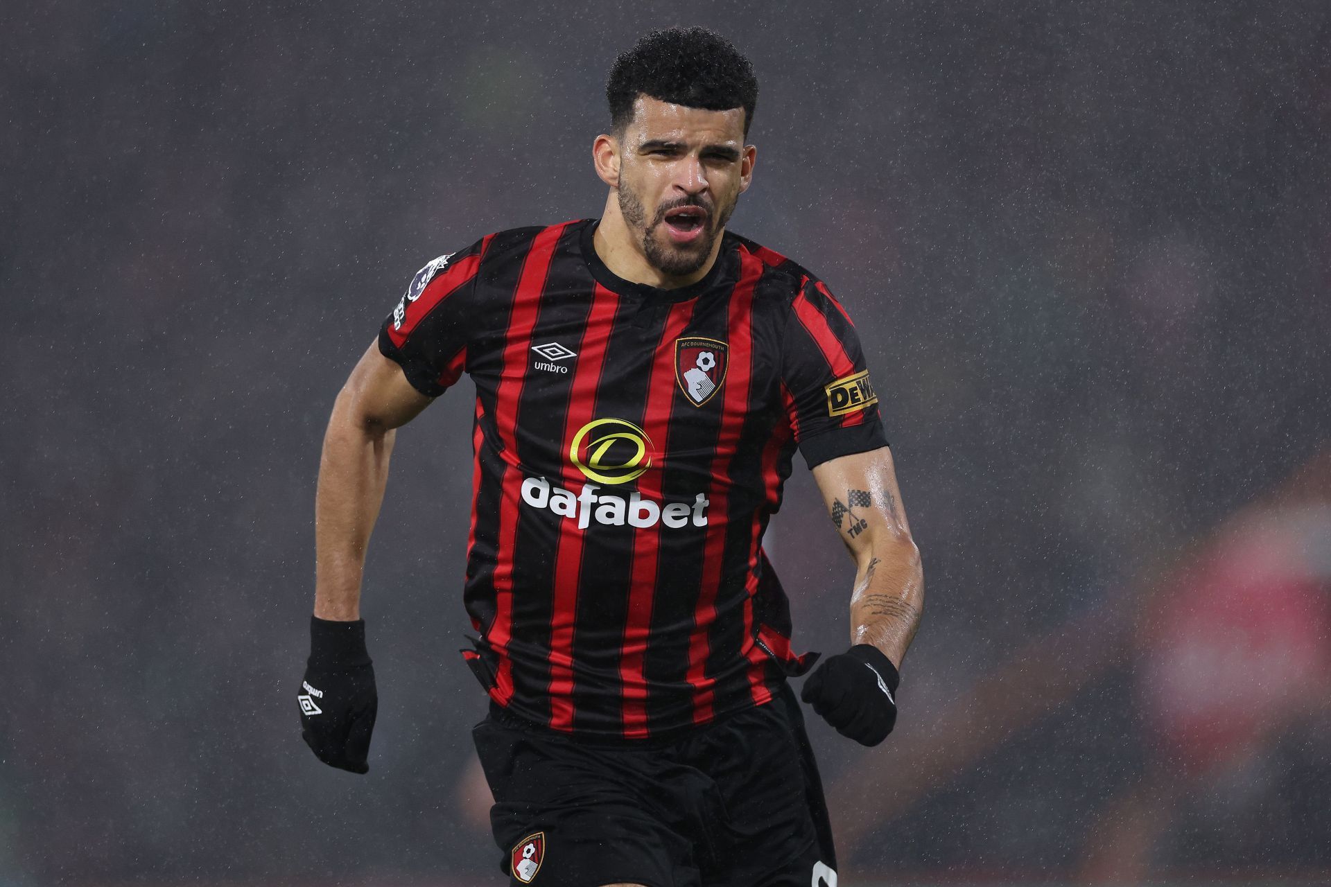 Dominic Solanke has been one of the Premier League&#039;s in-form frontmen.