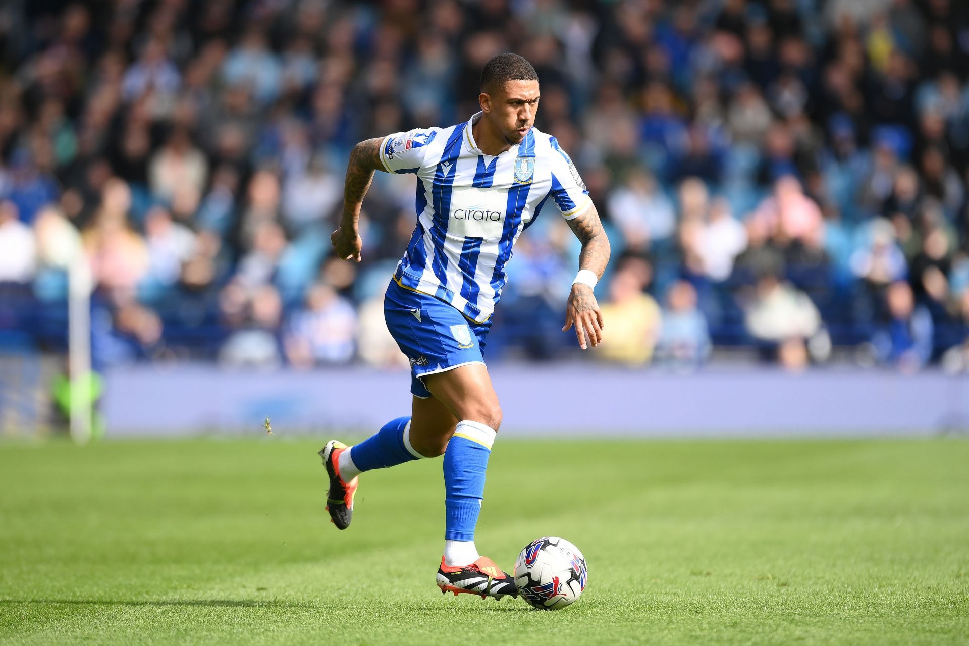 Sheffield Wednesday v Stoke City - Sky Bet Championship