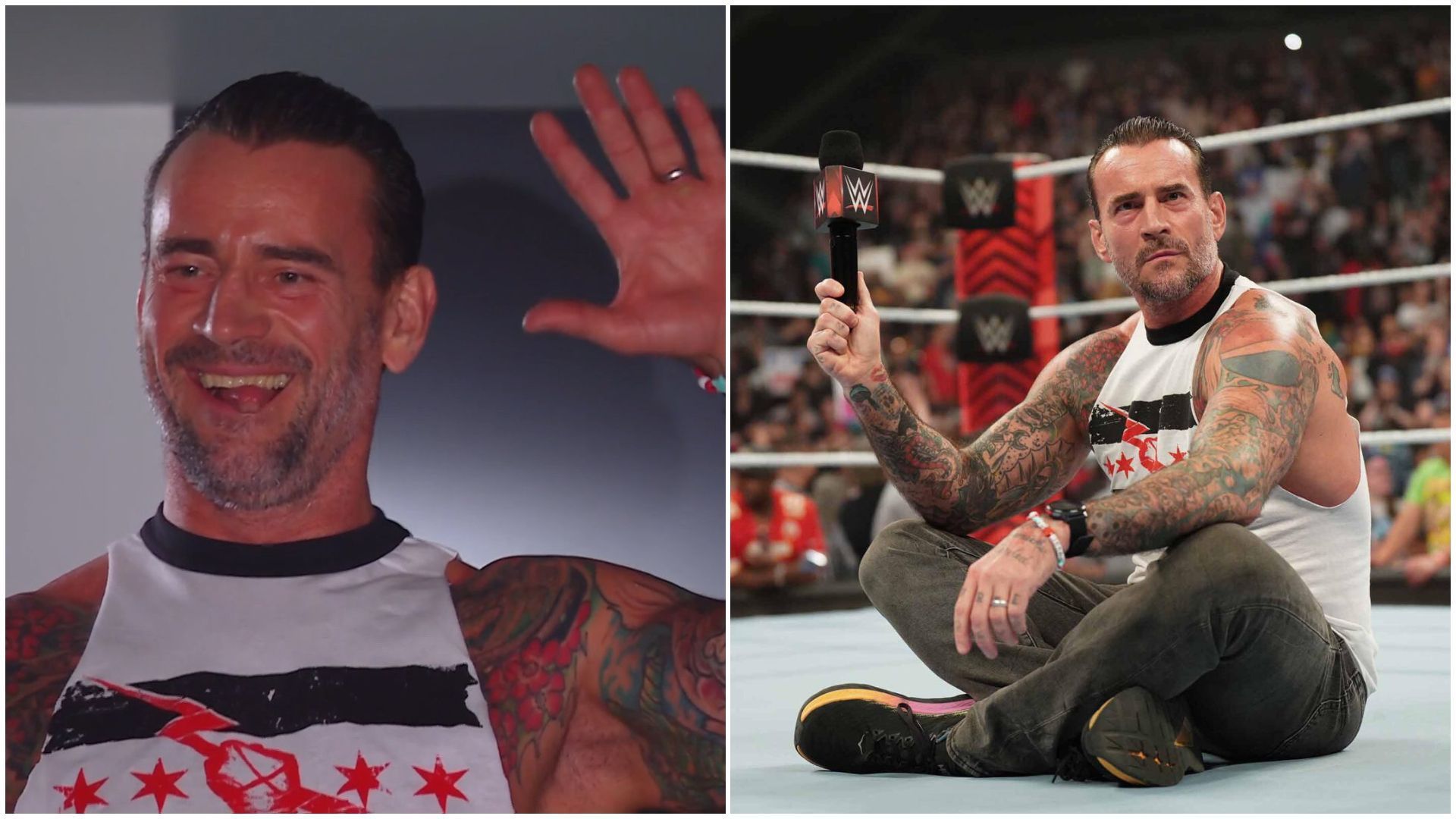 CM Punk is a former WWE Champion.