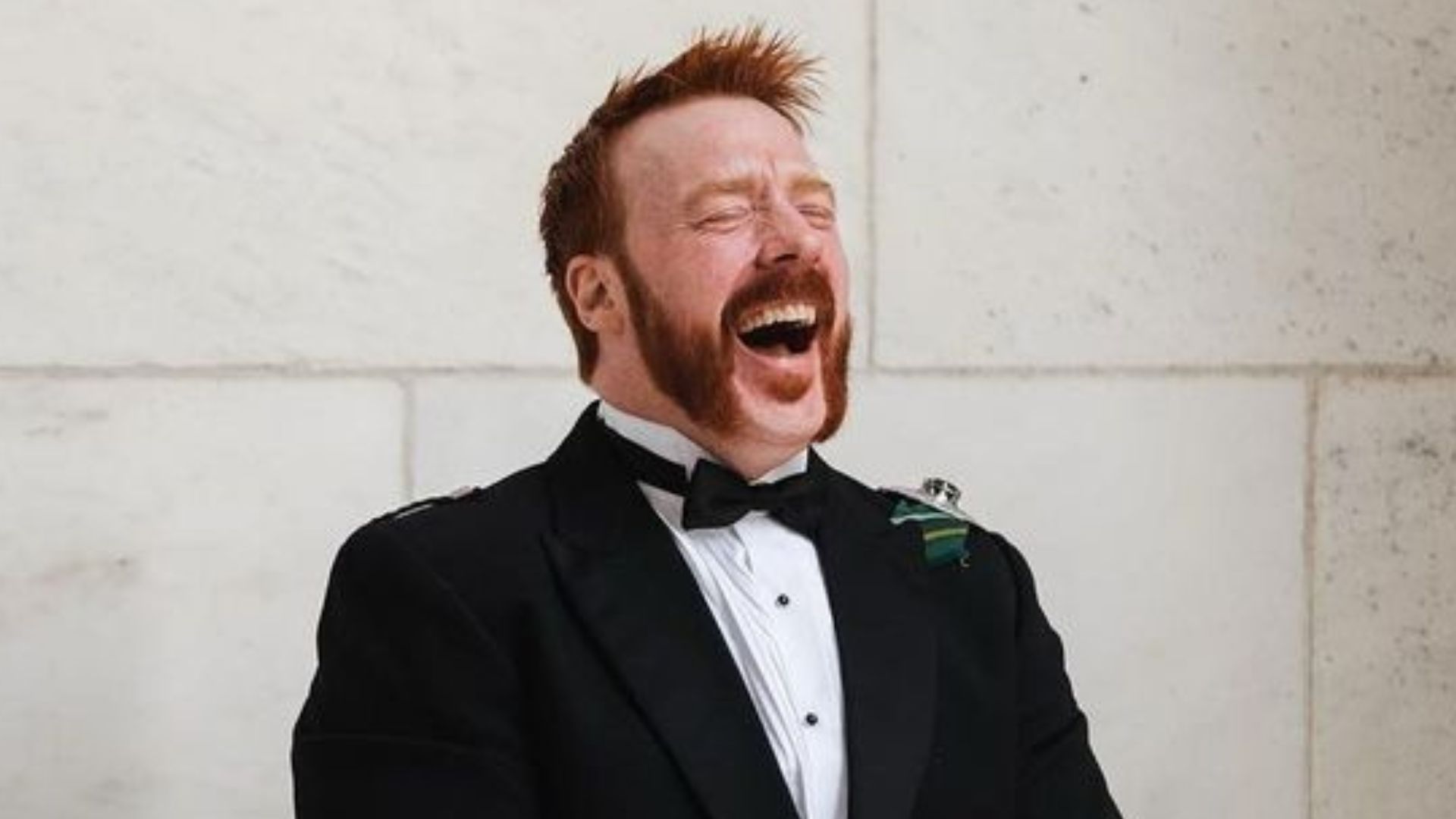 Sheamus is a 22-year veteran of the wrestling industry (Credit: WWE)