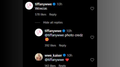 Tiffany commented on Ludwig's Instagram post and received a reply soon after.