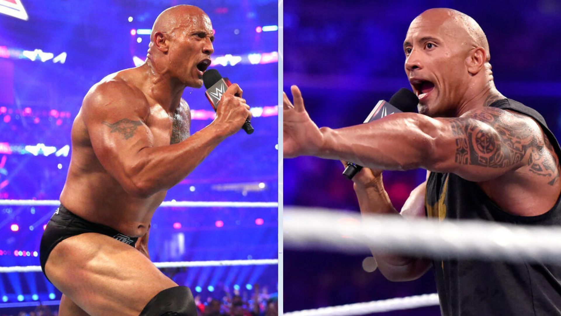 The Rock is a member of TKO