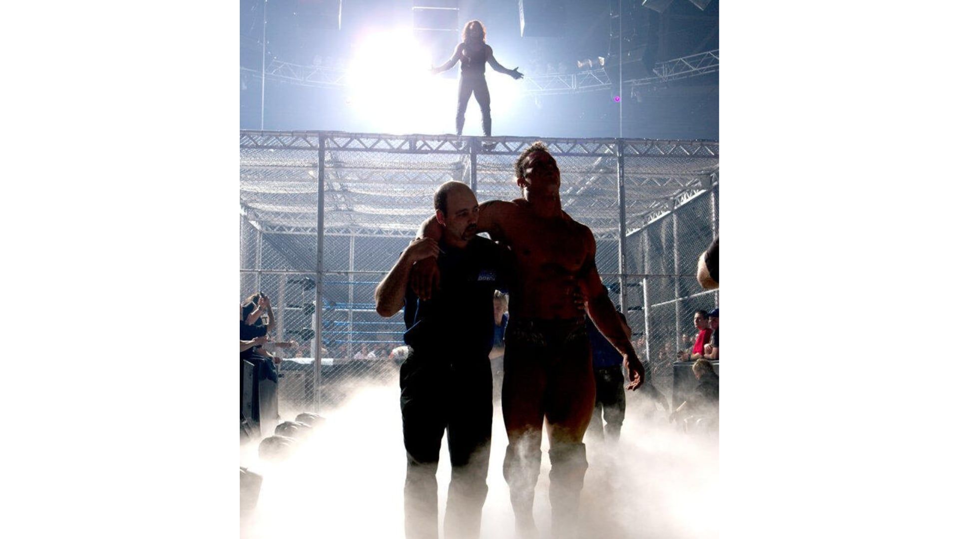 Randy Orton failed to defeat The Undertaker in a Hell in a Cell Match at Armageddon 2005