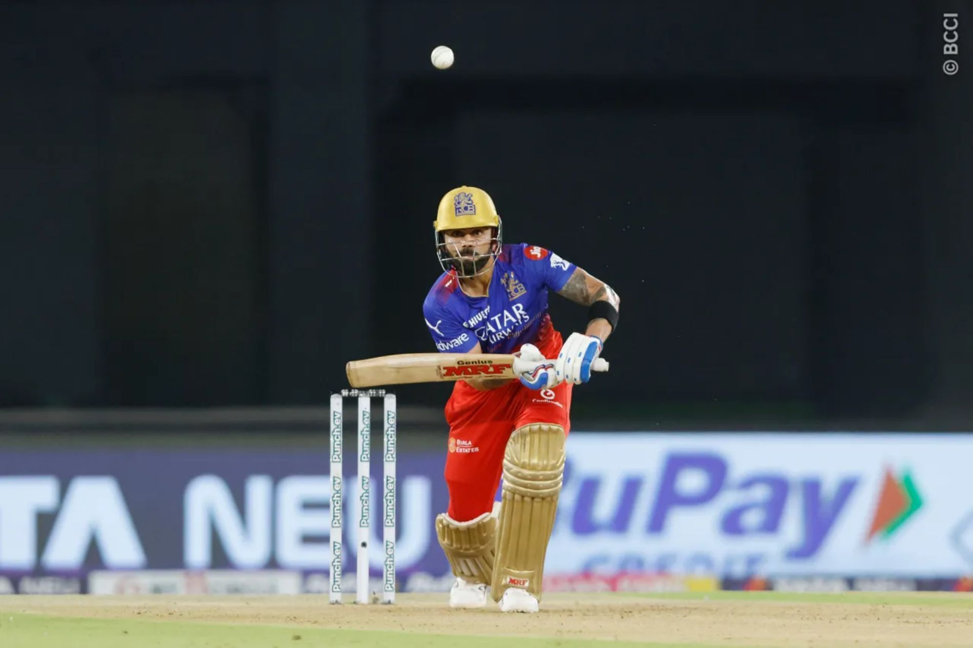 Virat Kohli scored 741 runs in IPL 2024 at an average of 61.75 and a strike rate of 154.70. (Image Credit: BCCI/ iplt20.com)