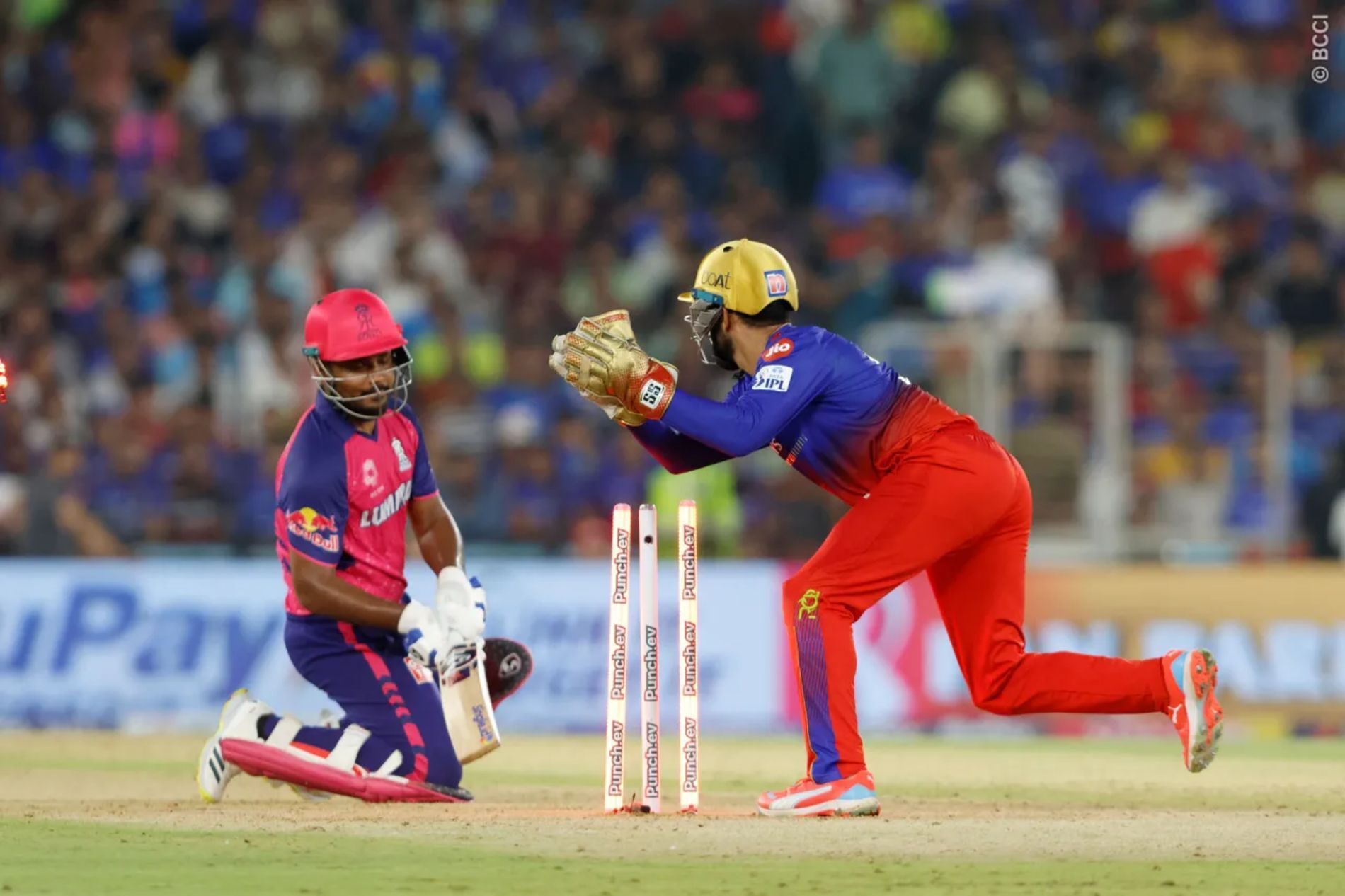 Sanju Samson threw his wicket away in the Eliminator. (Image Credit: BCCI/ iplt20.com)