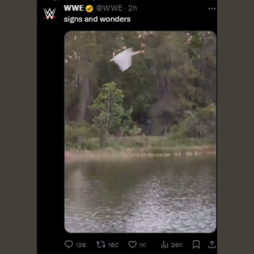 The star was spotted standing in the forested area (Credit: WWE on Twitter)