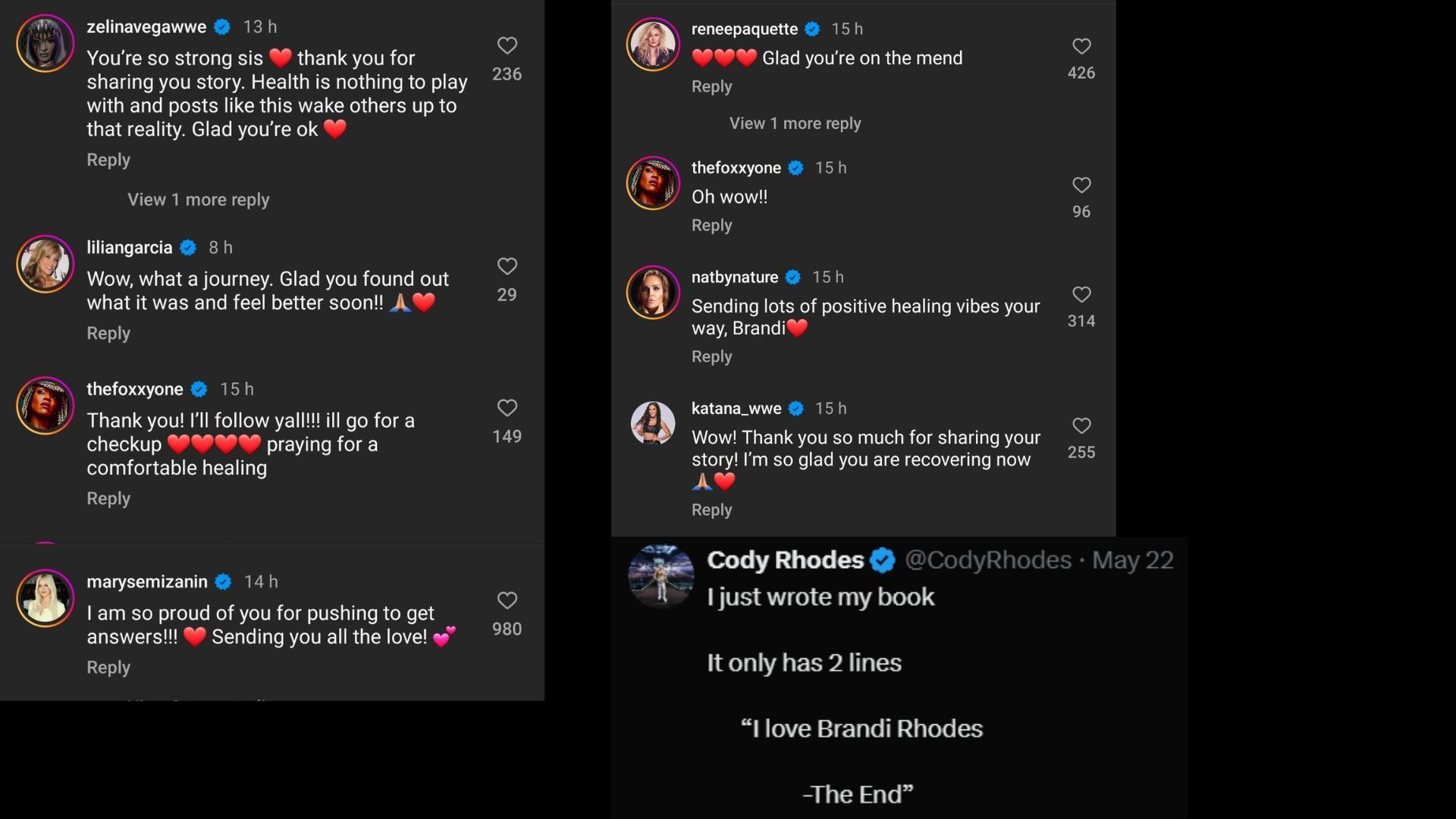 Screenshot of stars&#039; comments on Brandi Rhodes&#039; social media posts